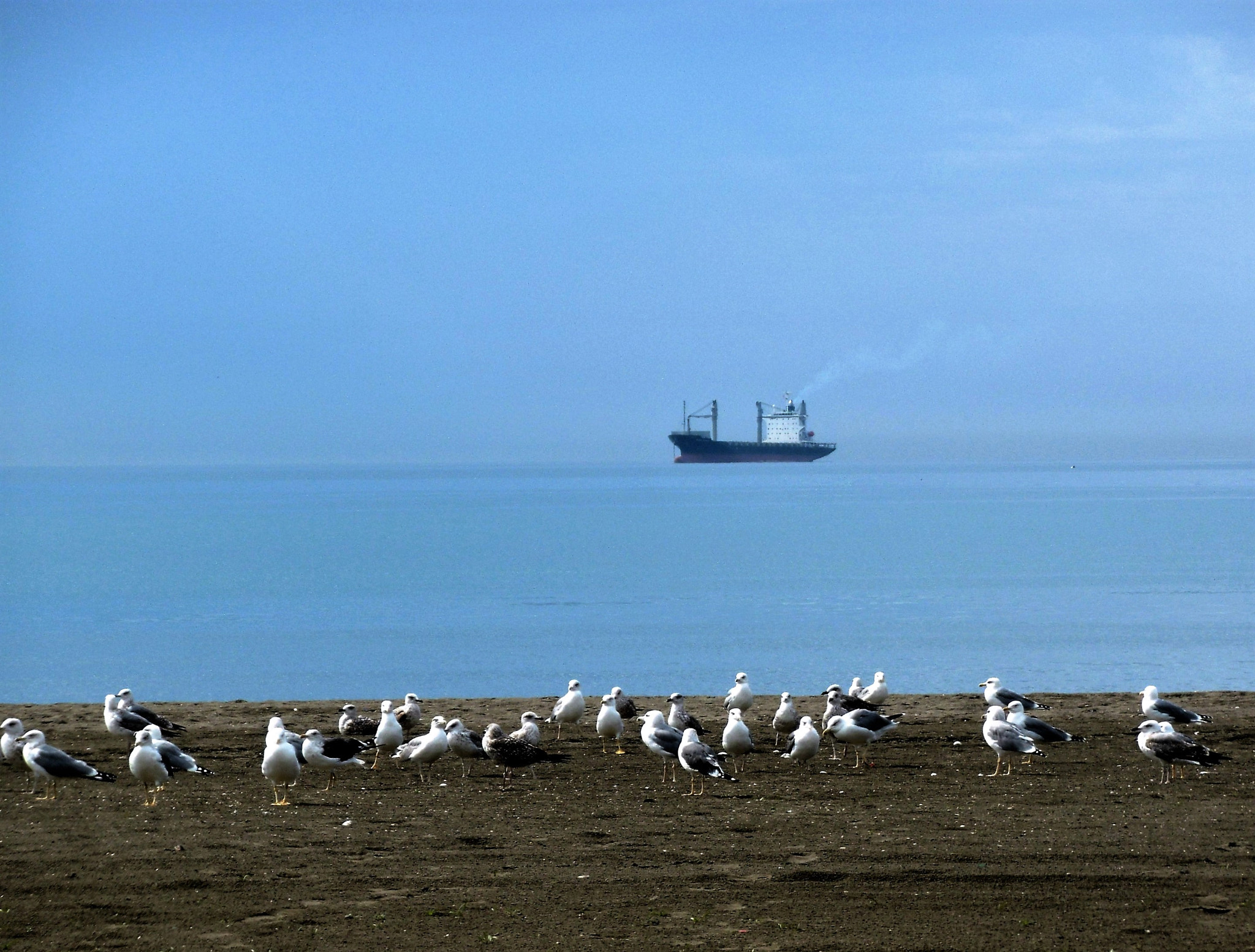 Panasonic DMC-SZ8 sample photo. Cielo y mar photography