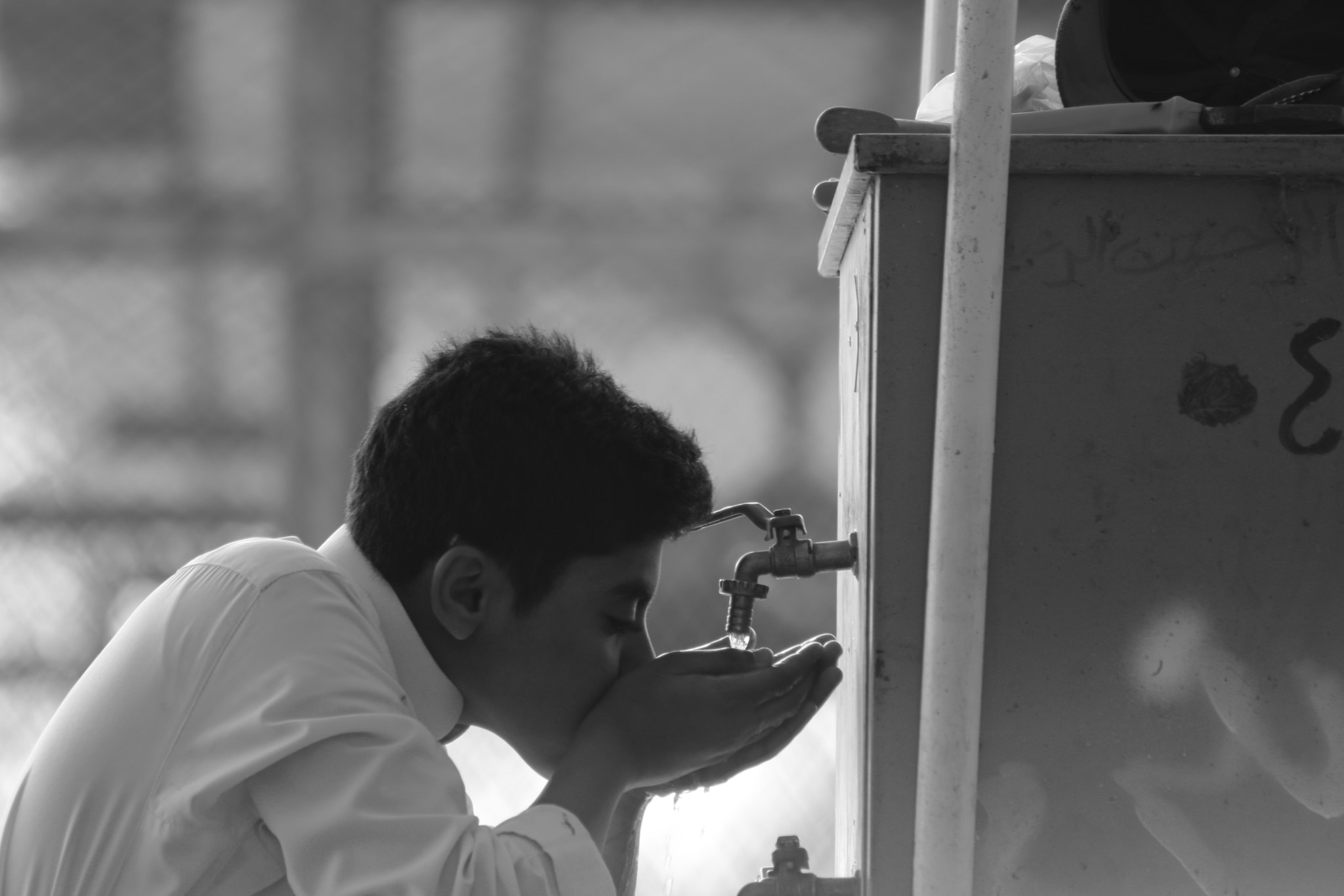 Canon EF75-300mm f/4-5.6 sample photo
