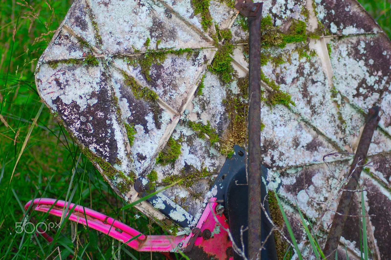 Nikon D40 sample photo. Garbage sports photography