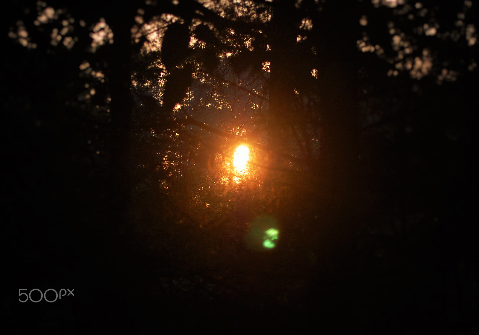 Nikon D40 sample photo. Sunrise of ms photography