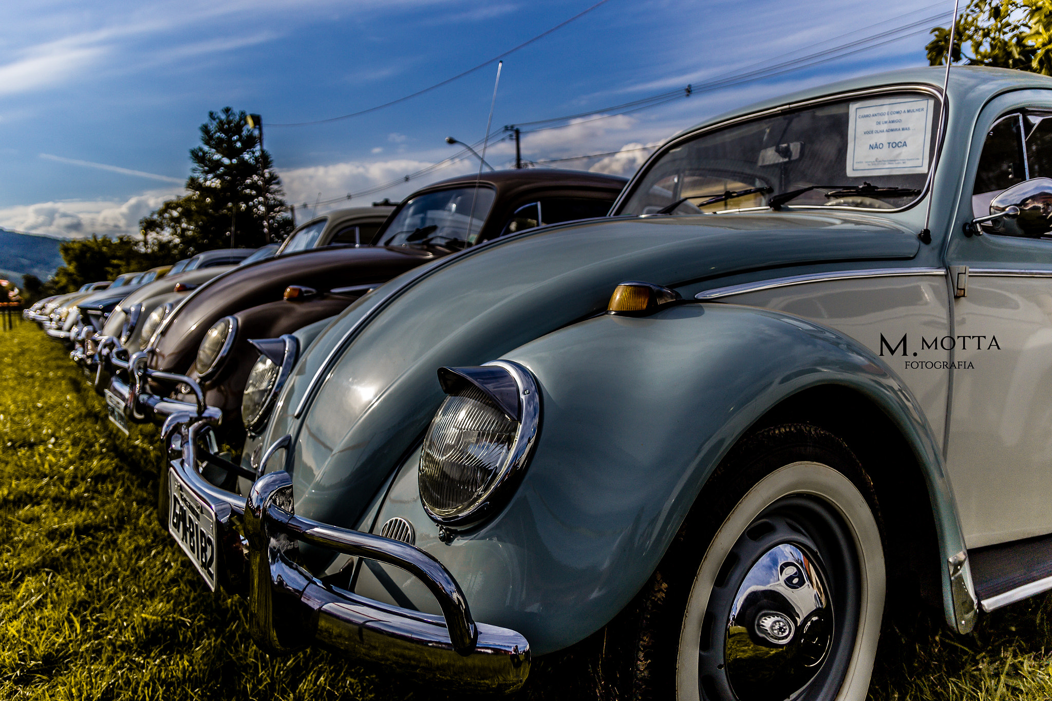 Canon EF-S 17-55mm F2.8 IS USM sample photo. Old beetle photography