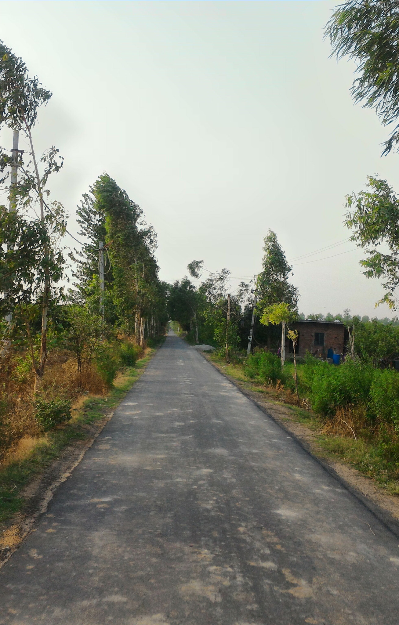 ASUS ZenFone 2 (ZE550ML) sample photo
