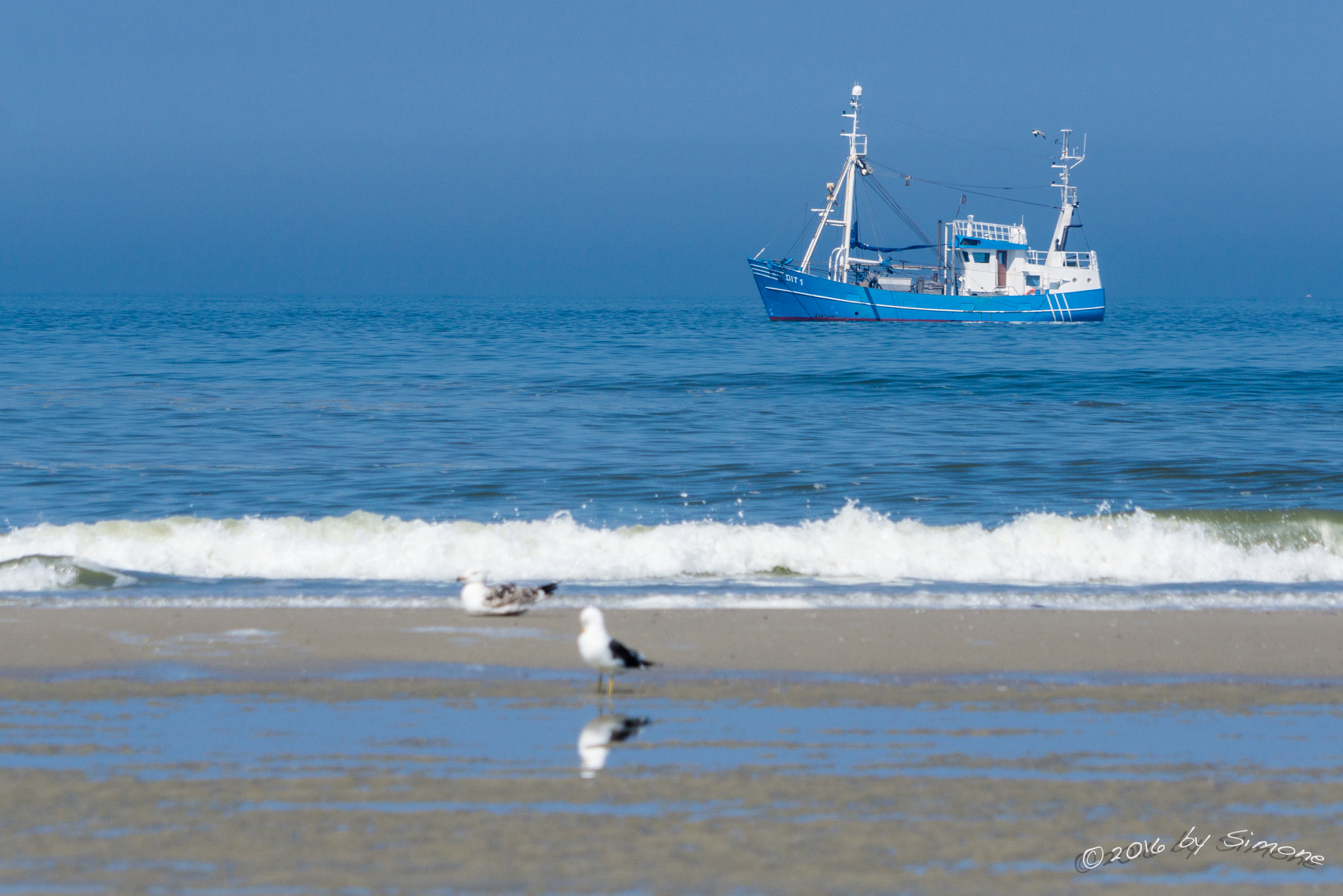 Sony a6000 + Sony FE 24-240mm F3.5-6.3 OSS sample photo. Am meer photography