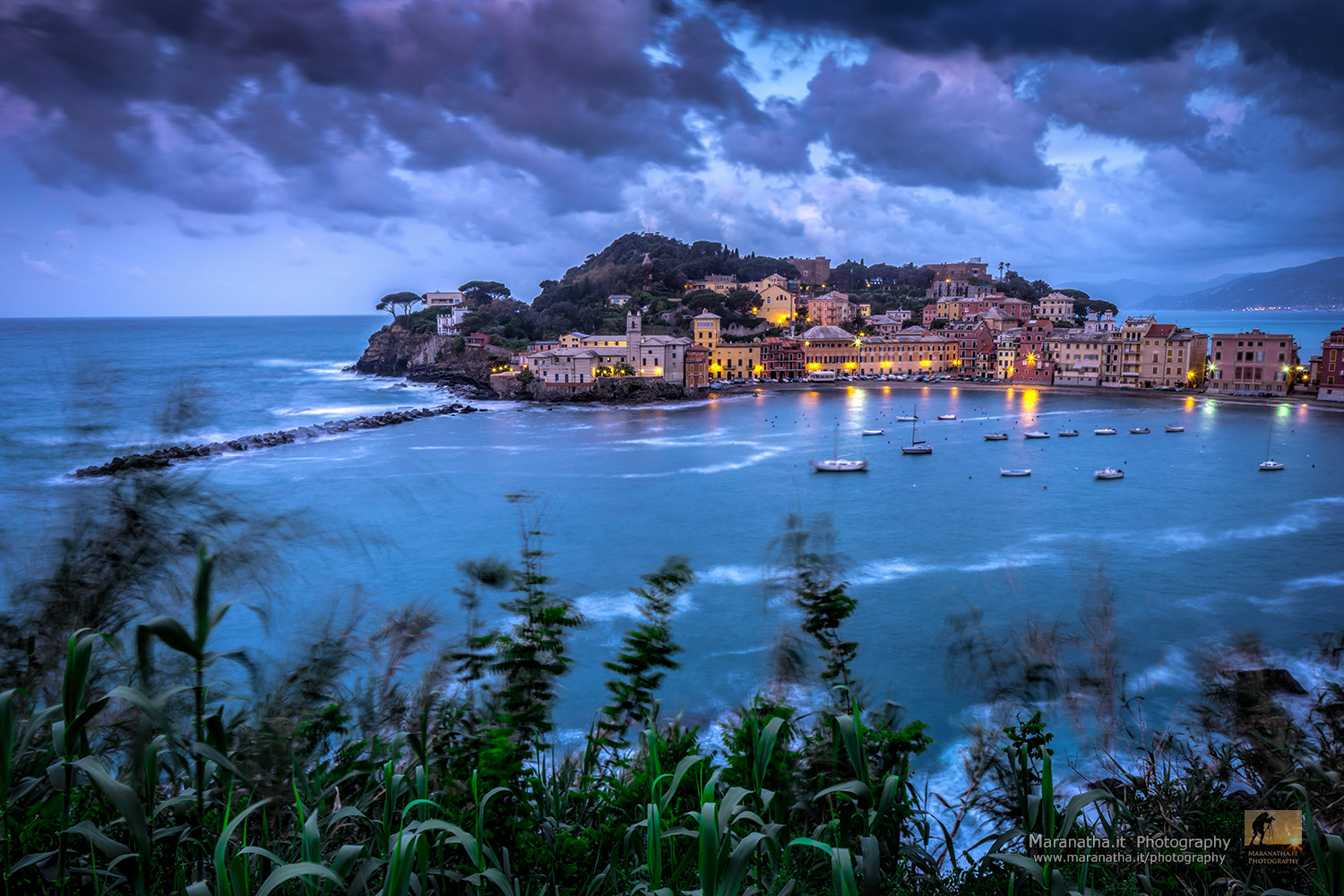 Canon TS-E 24.0mm f/3.5 L II sample photo. East bay at sunrise - sestri levante photography