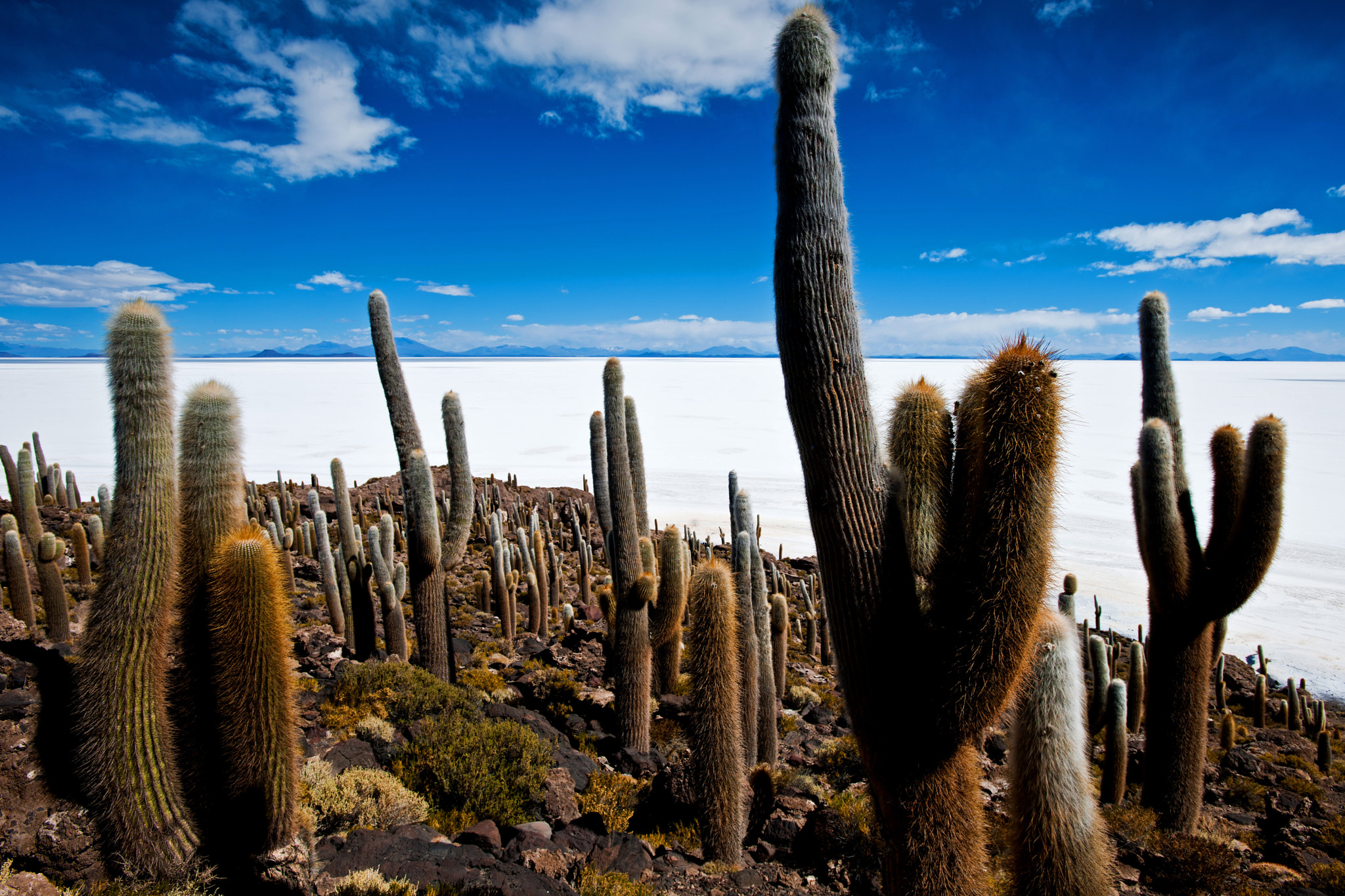 Nikon D3X + Nikon AF-S Nikkor 17-35mm F2.8D ED-IF sample photo. [ salar de uyuni ] photography