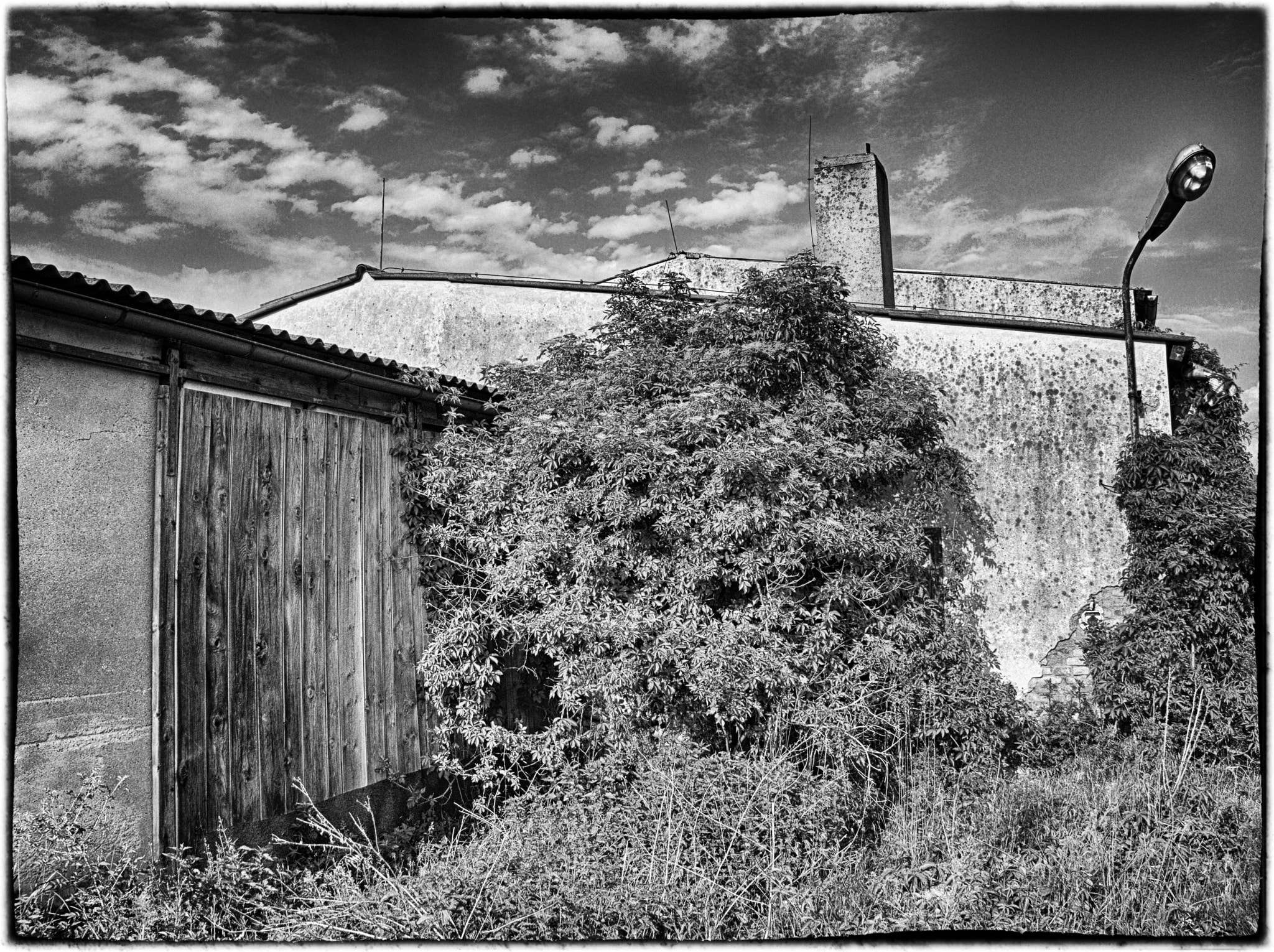 Built-in lens sample photo. Horse barn photography