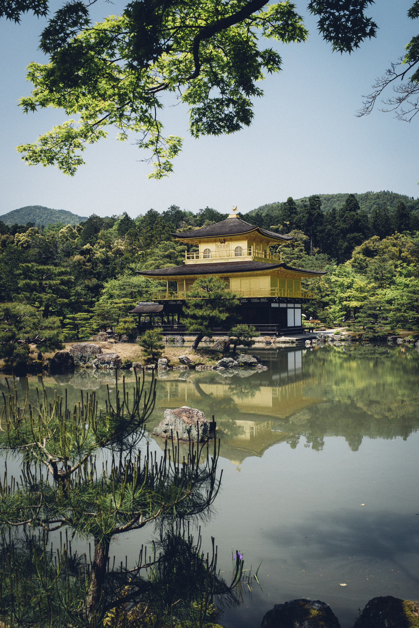 Nikon D800E + Nikon AF-S Nikkor 35mm F1.4G sample photo. Kyoto's gold photography