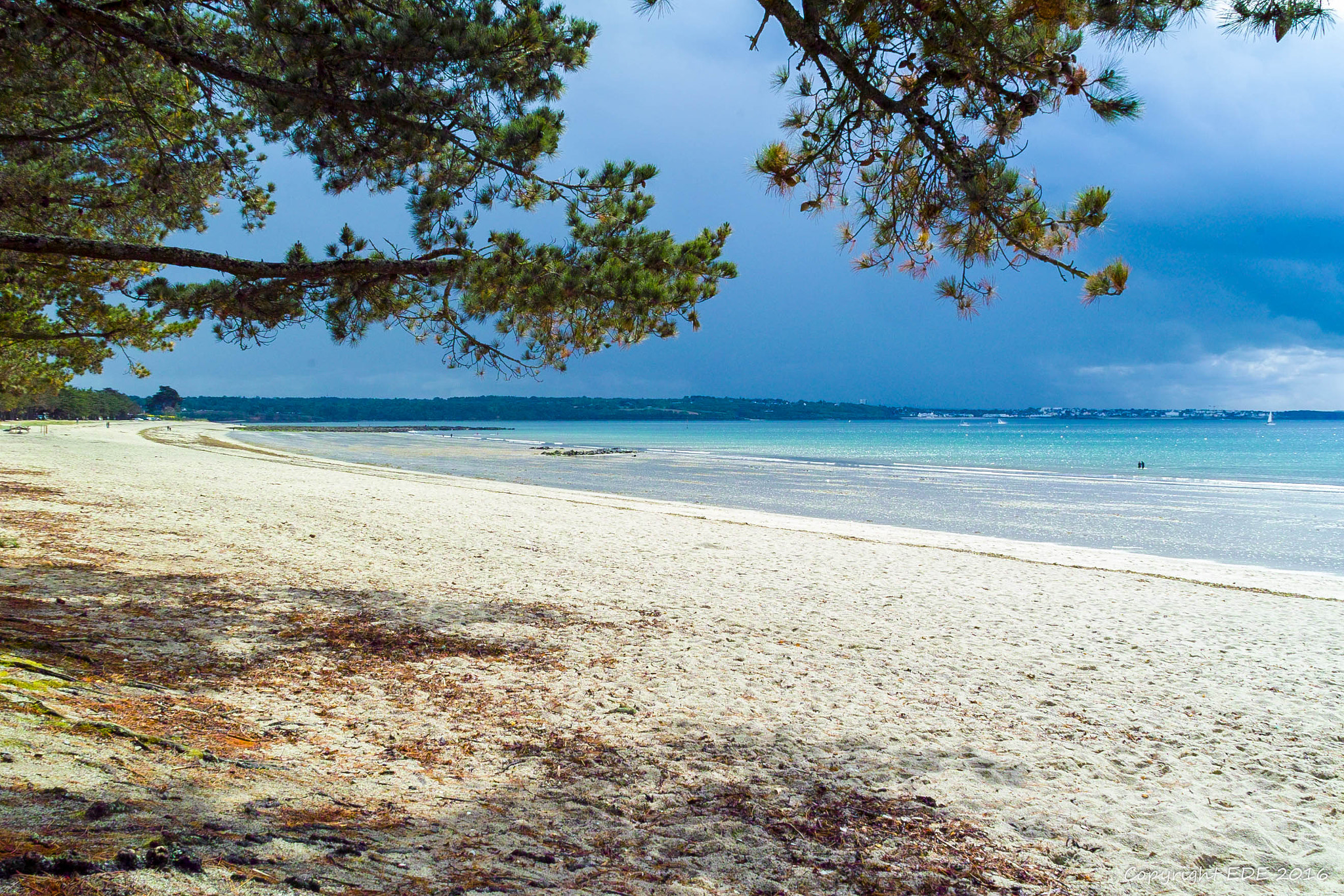 Sigma SD14 sample photo. Cap coz finistère bretagne photography