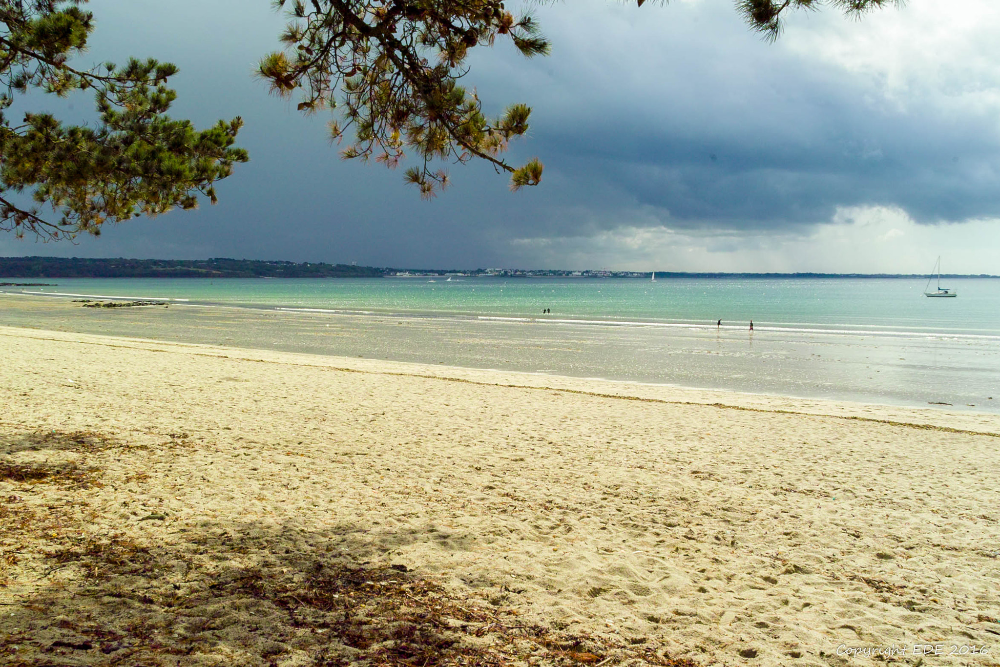 Sigma SD14 sample photo. Cap coz fouesnant finistère bretagne photography