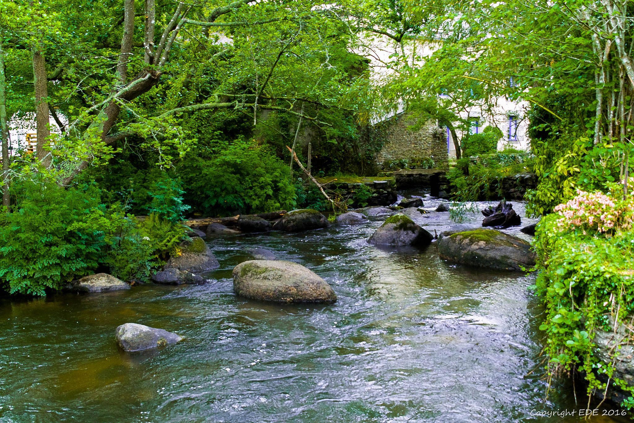 Sigma SD14 sample photo. Pont aven finistère bretagne photography