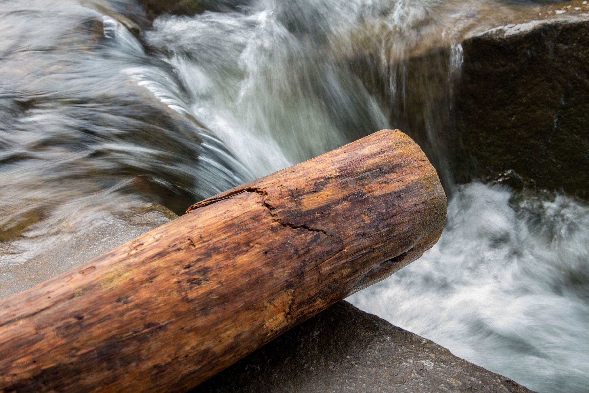 Canon EOS 650D (EOS Rebel T4i / EOS Kiss X6i) sample photo. Log and the river photography