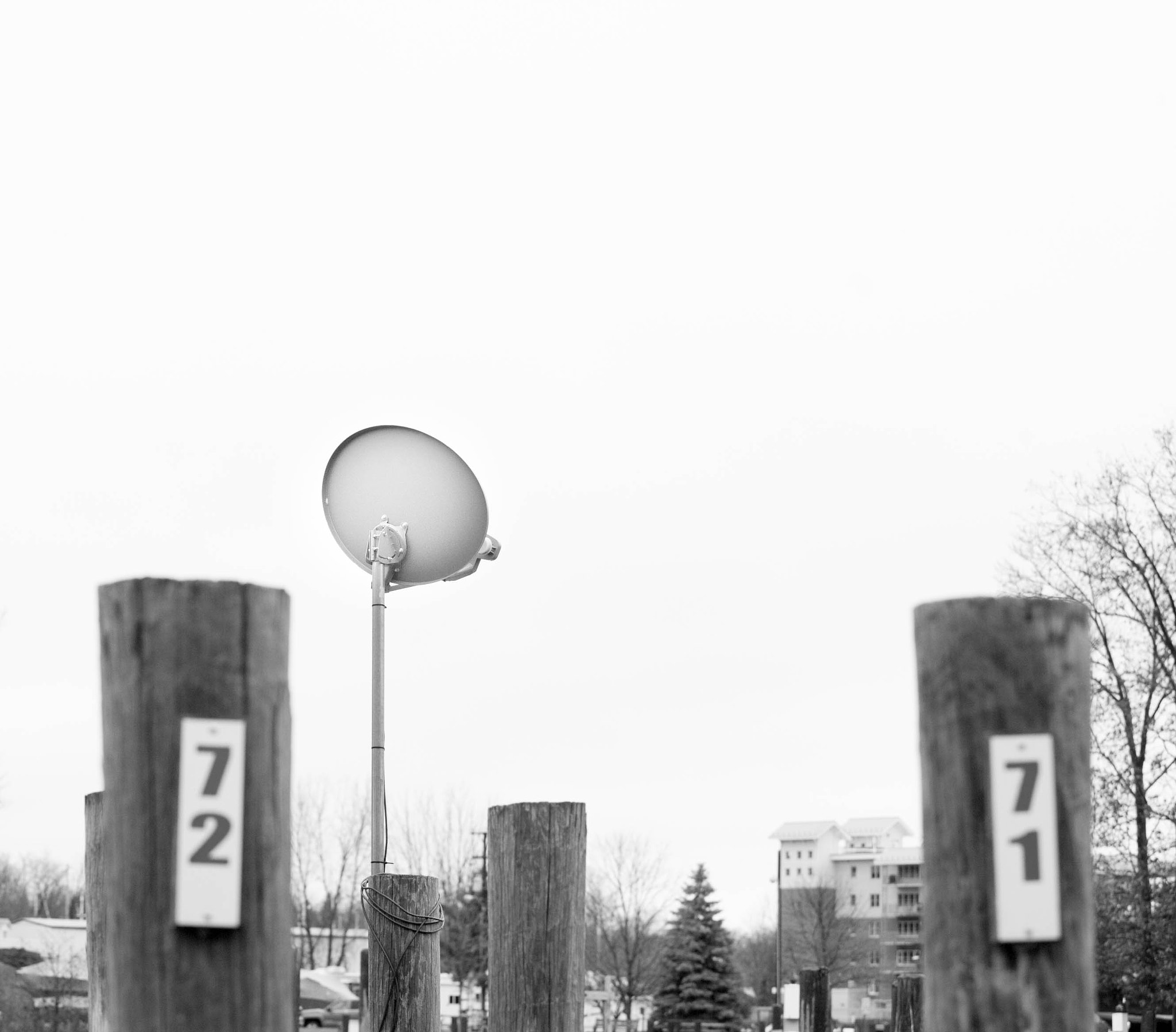 Canon EOS-1D Mark II N sample photo. 73,..,..,70 photography