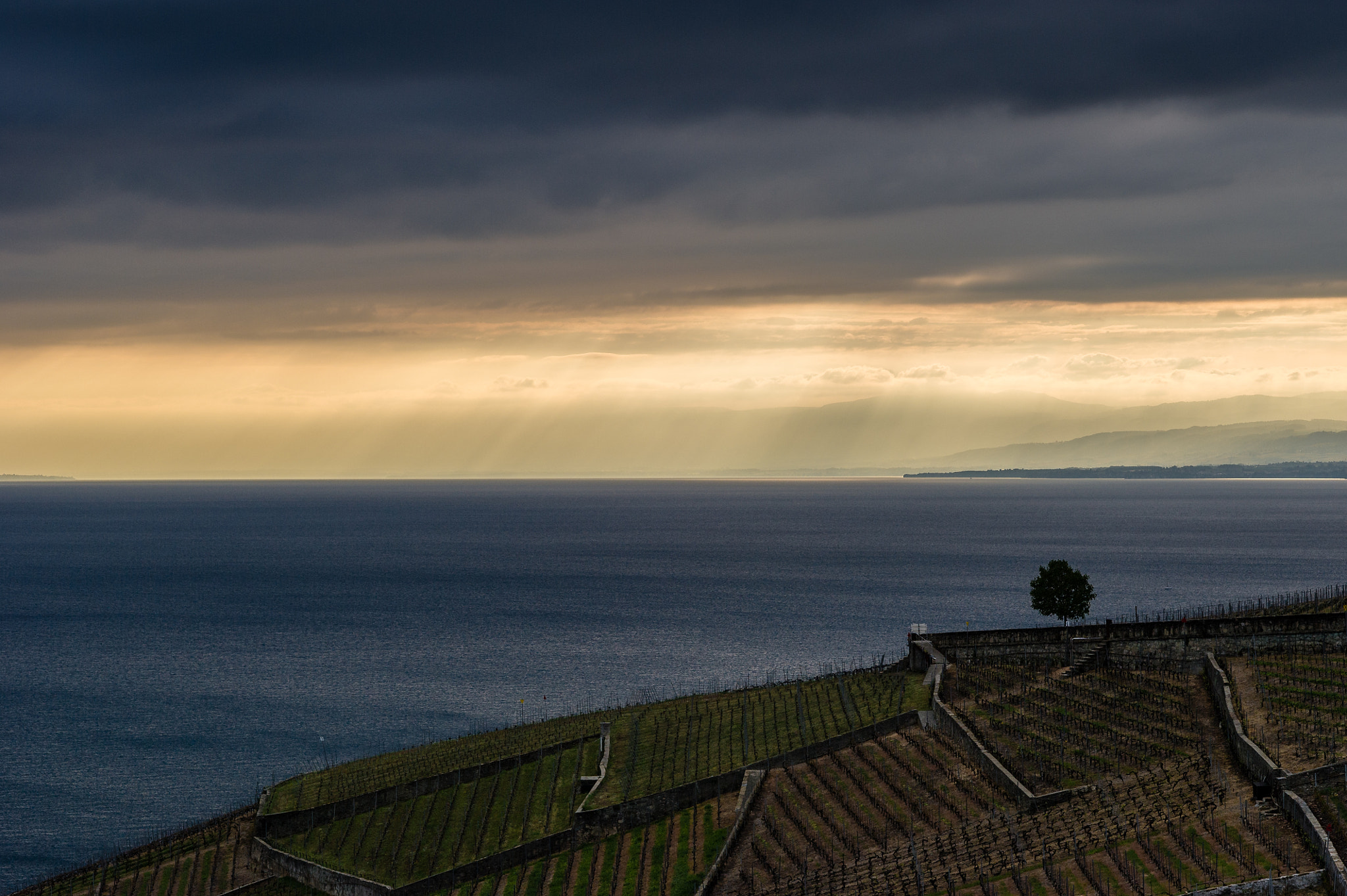 Nikon D3S + Nikon AF-S Nikkor 85mm F1.4G sample photo. Lavaux photography
