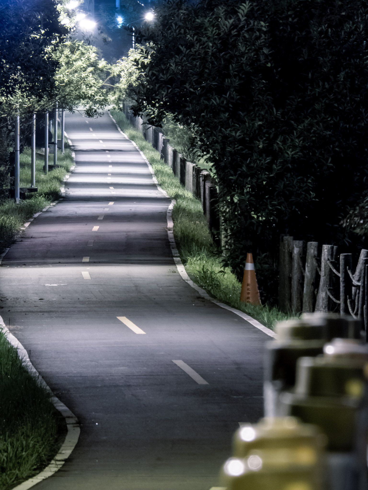 Panasonic Lumix G Vario 45-200mm F4-5.6 OIS sample photo. Melancholy road photography