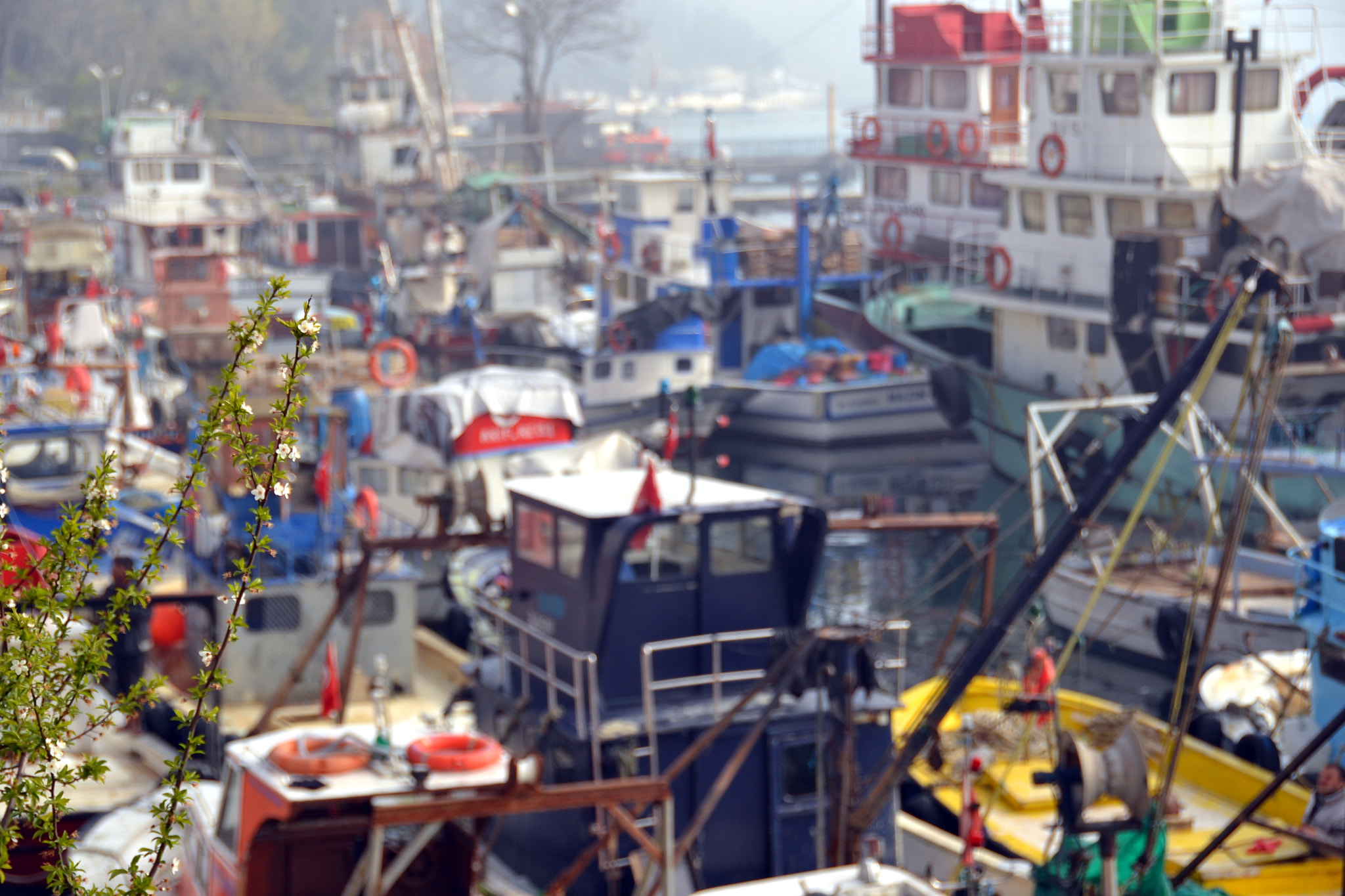 Nikon D3100 sample photo. C photography
