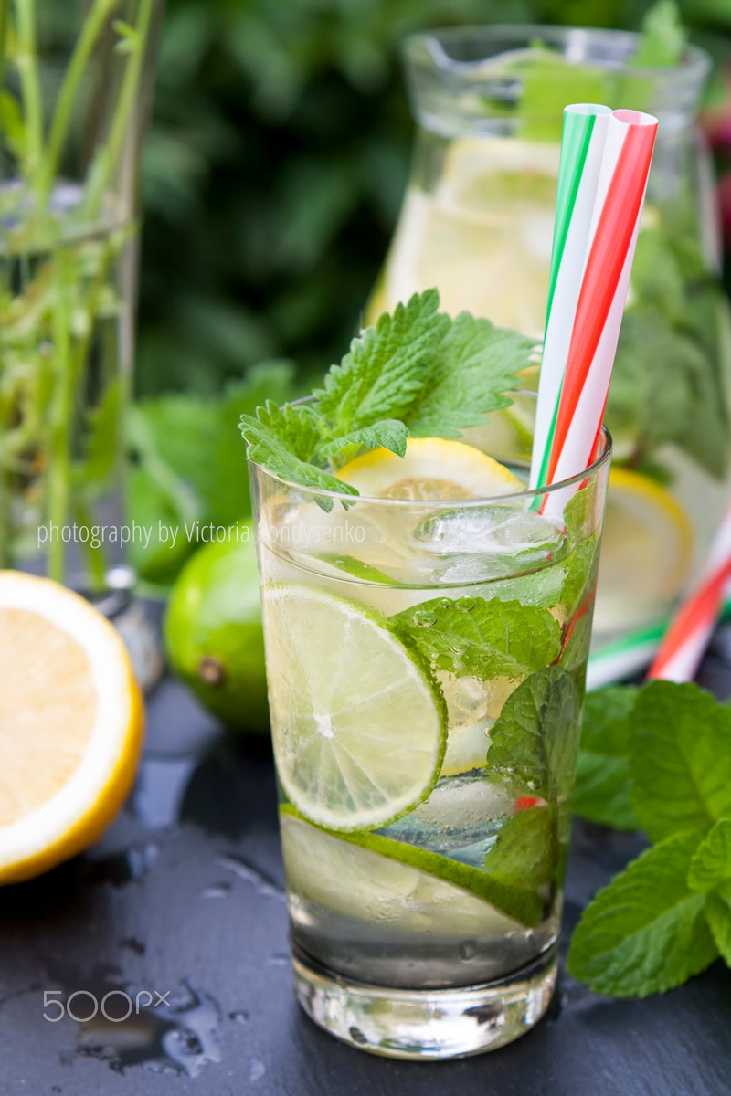 Canon EOS 1000D (EOS Digital Rebel XS / EOS Kiss F) sample photo. Cold fresh lemonade with lemon, lime and mint photography