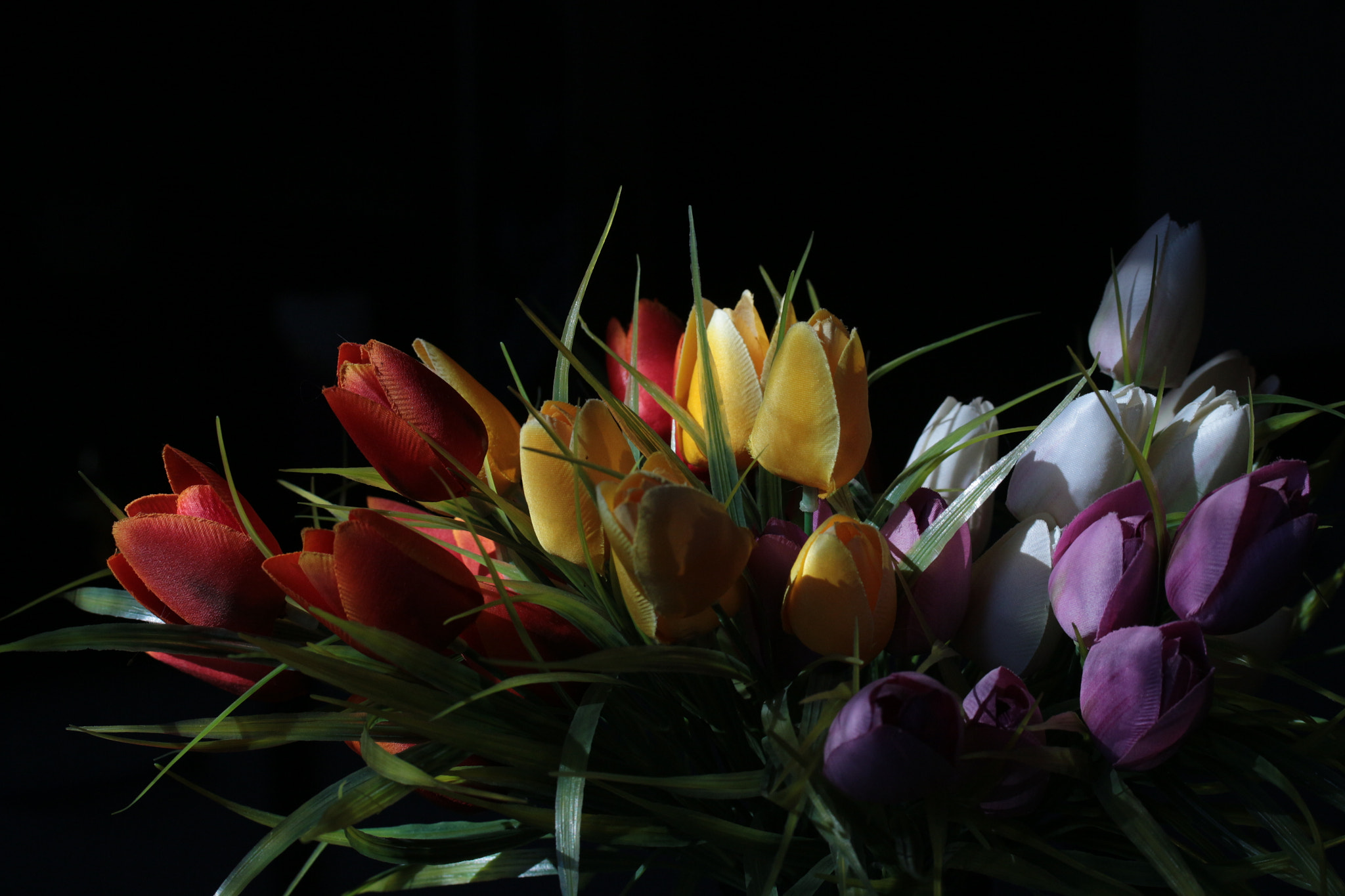Canon EF-S 60mm F2.8 Macro USM sample photo. () photography