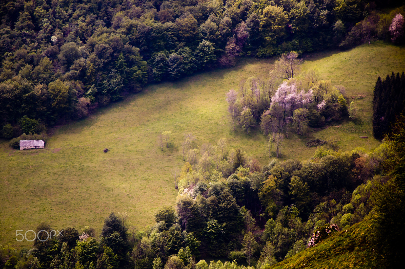 Nikon D50 sample photo. Land of legends... photography