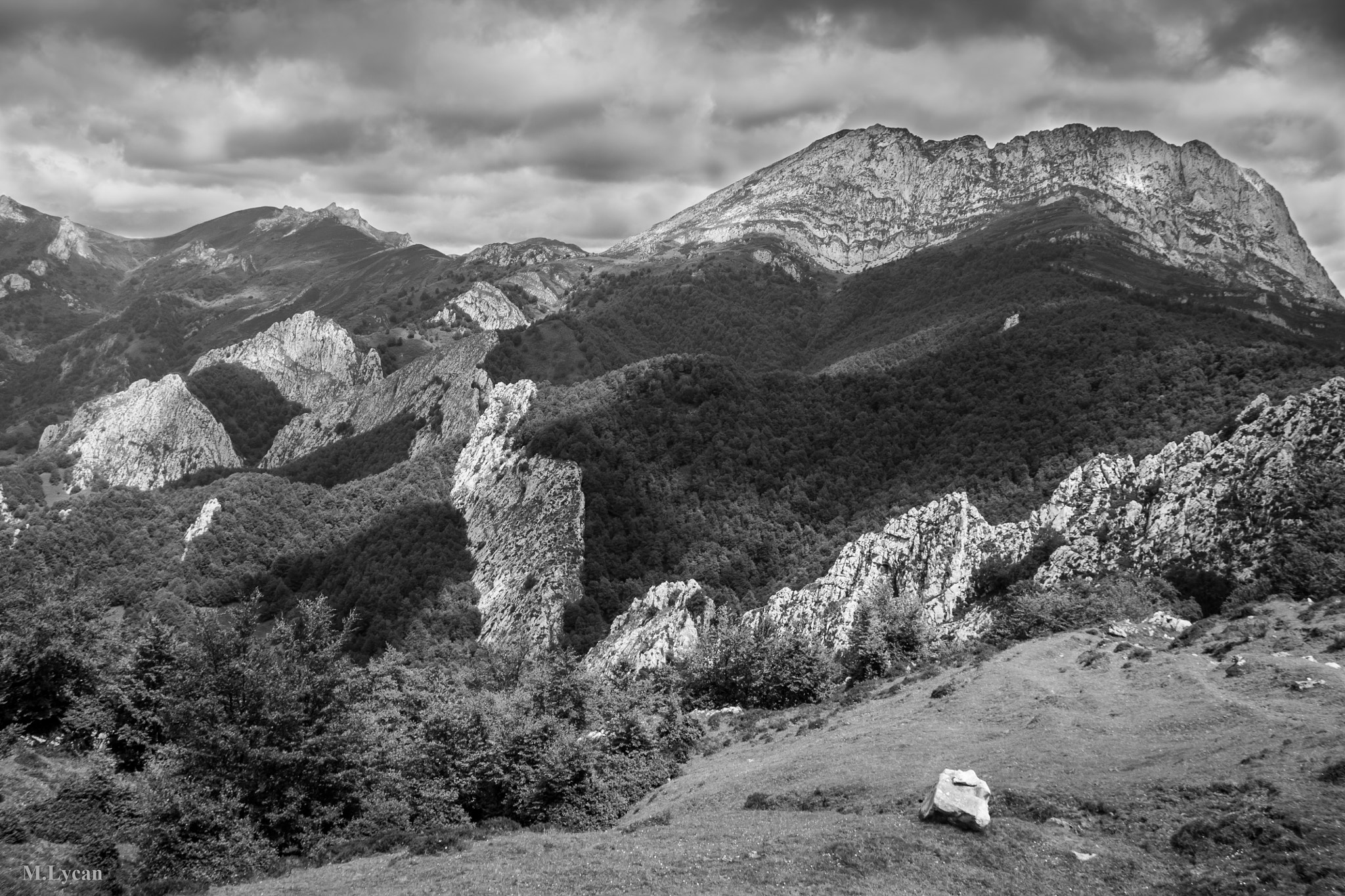 Sigma 18-125mm F3.8-5.6 DC OS HSM sample photo. El tiatordos photography