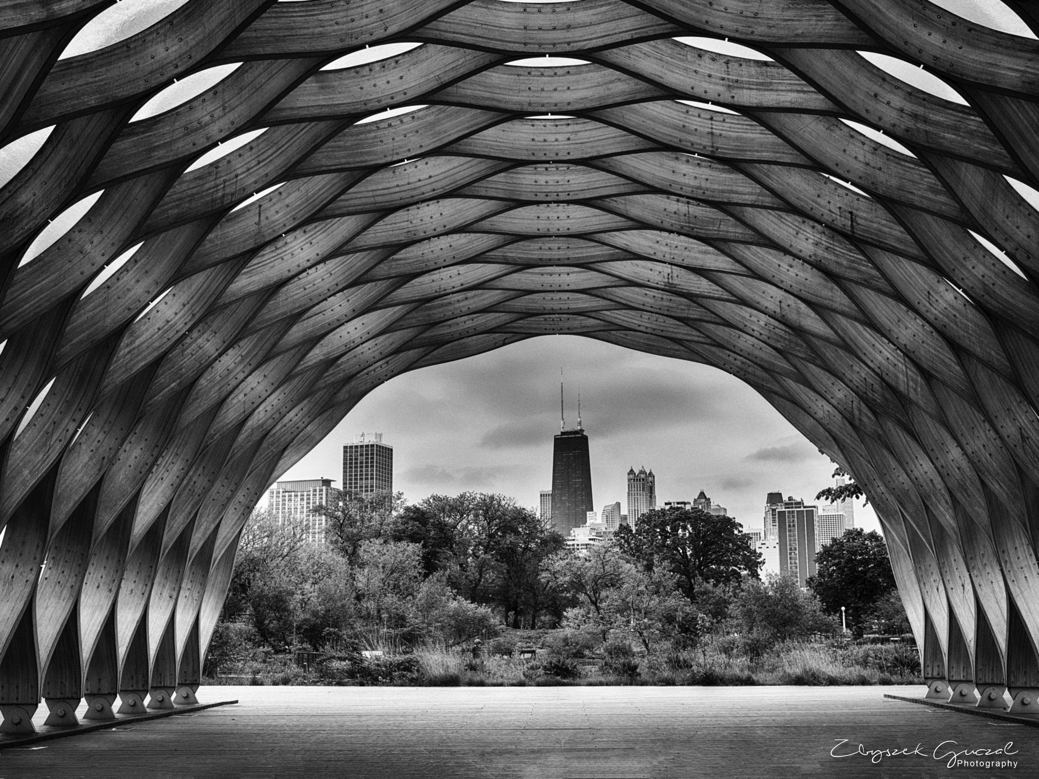 Phase One IQ140 sample photo. Lincoln park honeycomb sculpture photography