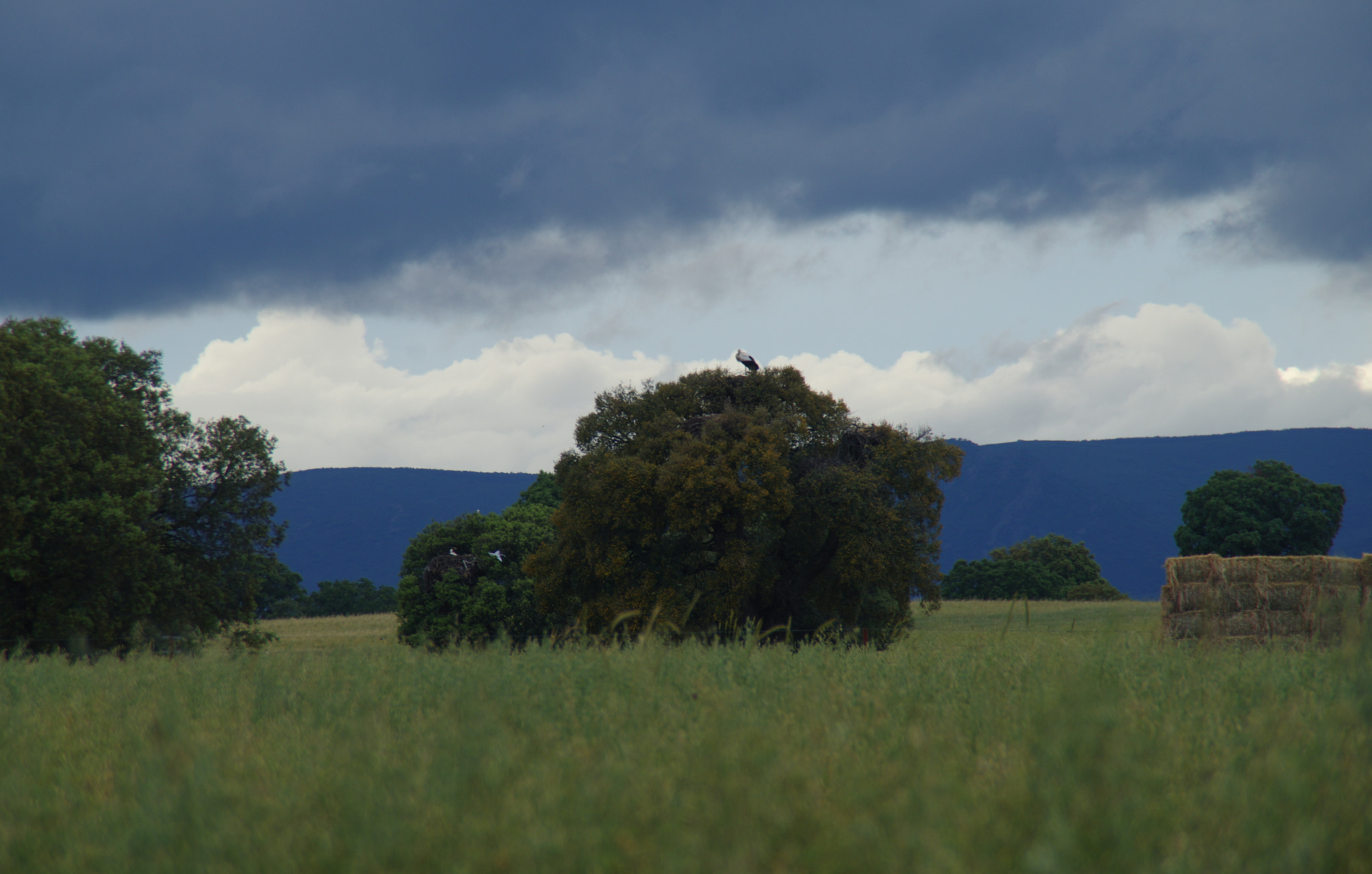 Tamron AF 18-200mm F3.5-6.3 XR Di II LD Aspherical (IF) Macro sample photo. Se aproxima la tormenta photography