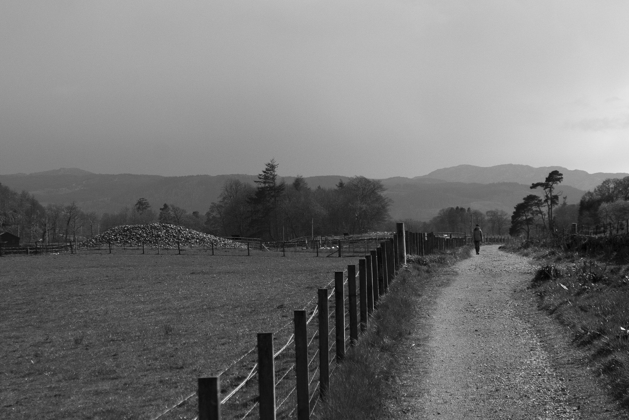 Nikon D200 sample photo. Nether lairgie photography