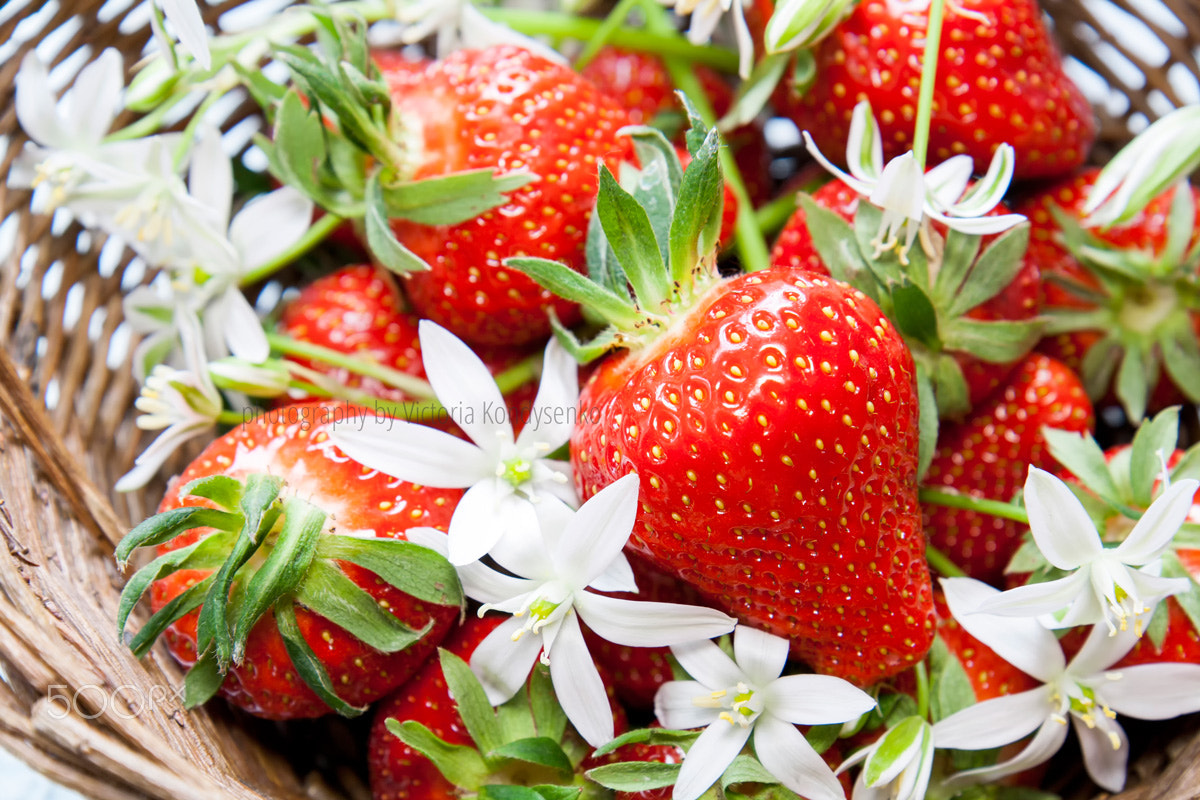 Canon EOS 1000D (EOS Digital Rebel XS / EOS Kiss F) sample photo. Fresh strawberries in wicker basket photography
