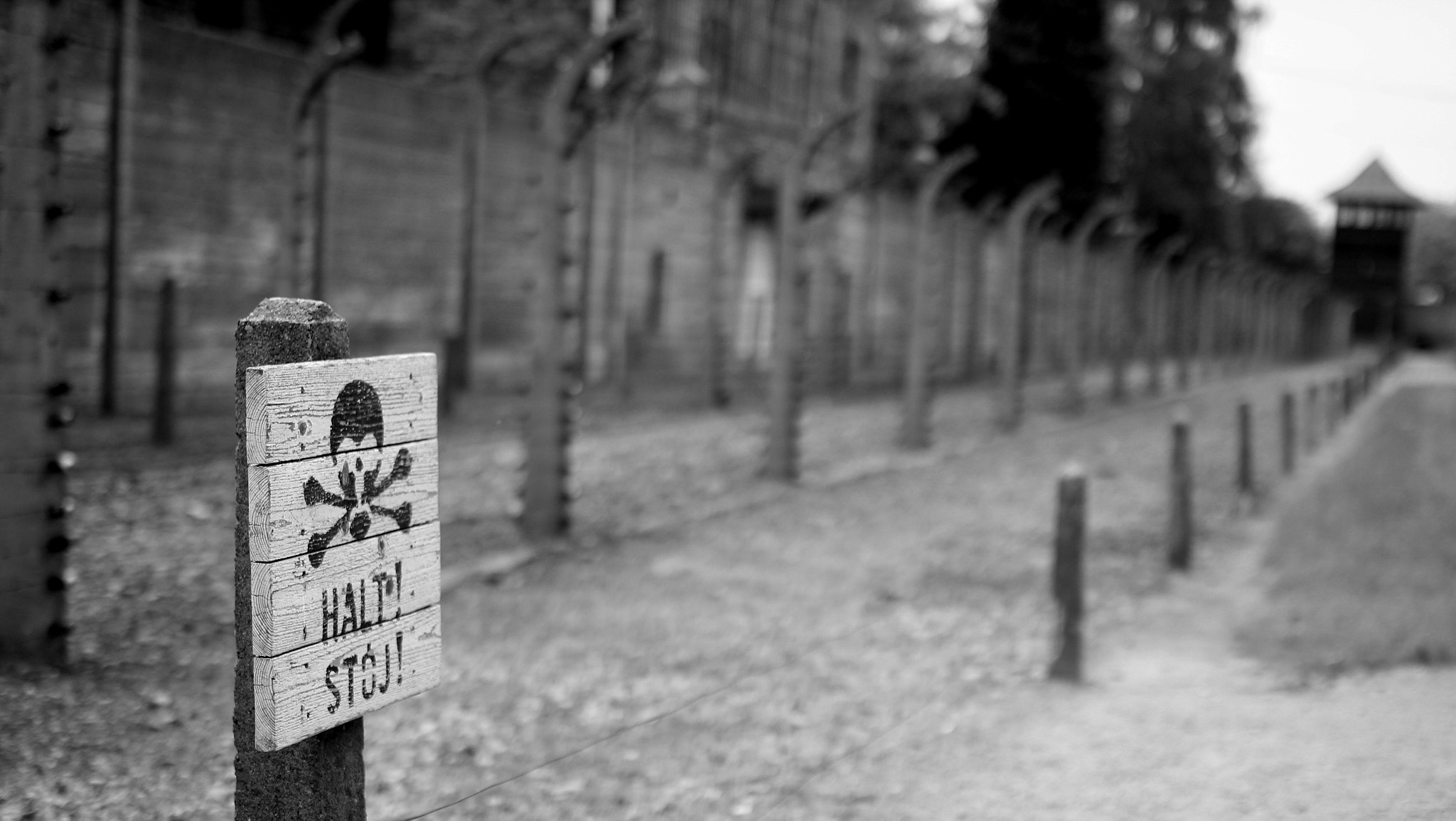 Canon EOS 550D (EOS Rebel T2i / EOS Kiss X4) + Sigma 35mm F1.4 DG HSM Art sample photo. Remembering lost souls at aushwitz photography