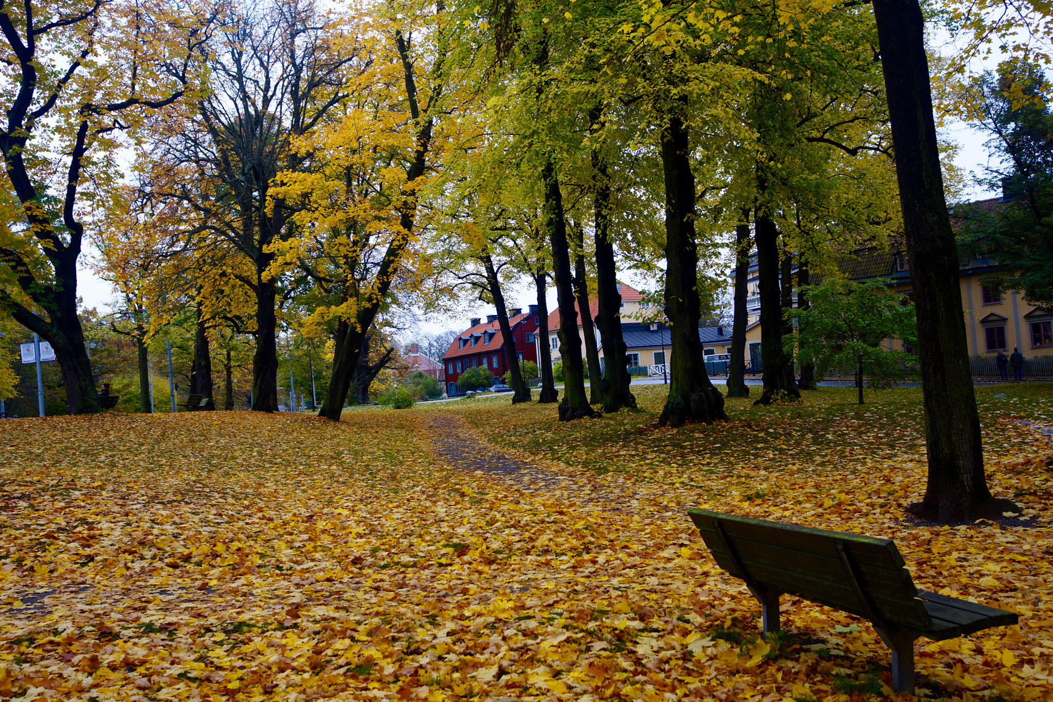 Sony Alpha NEX-7 + Sony Sonnar T* E 24mm F1.8 ZA sample photo. Autumn photography