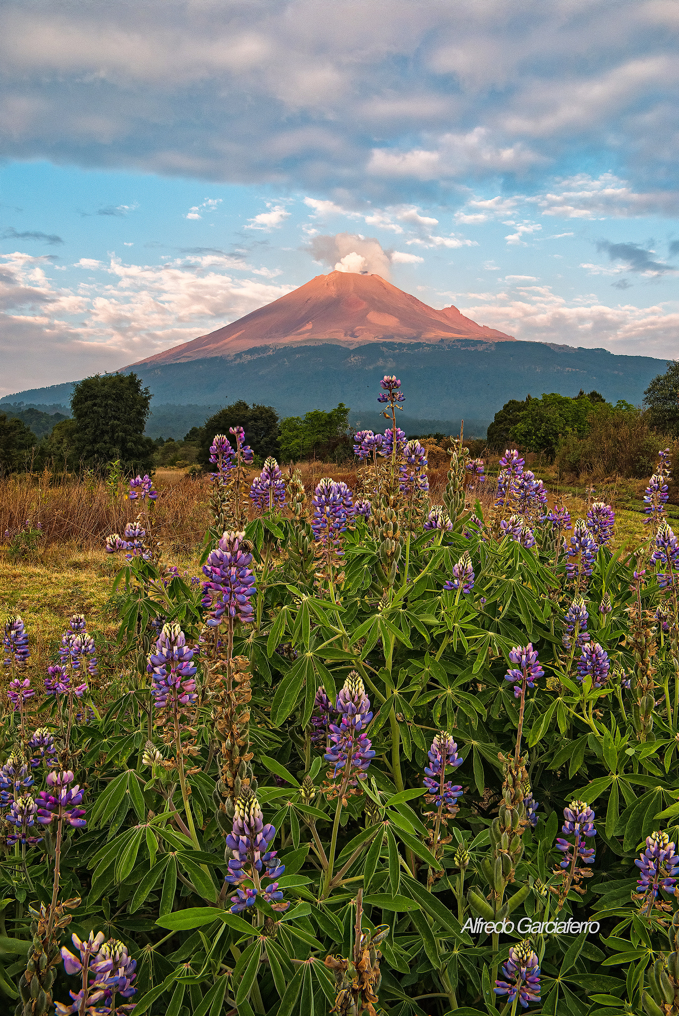 Nikon D810A + Nikon AF-S Nikkor 24-70mm F2.8G ED sample photo. Morning at popocatepetl... photography