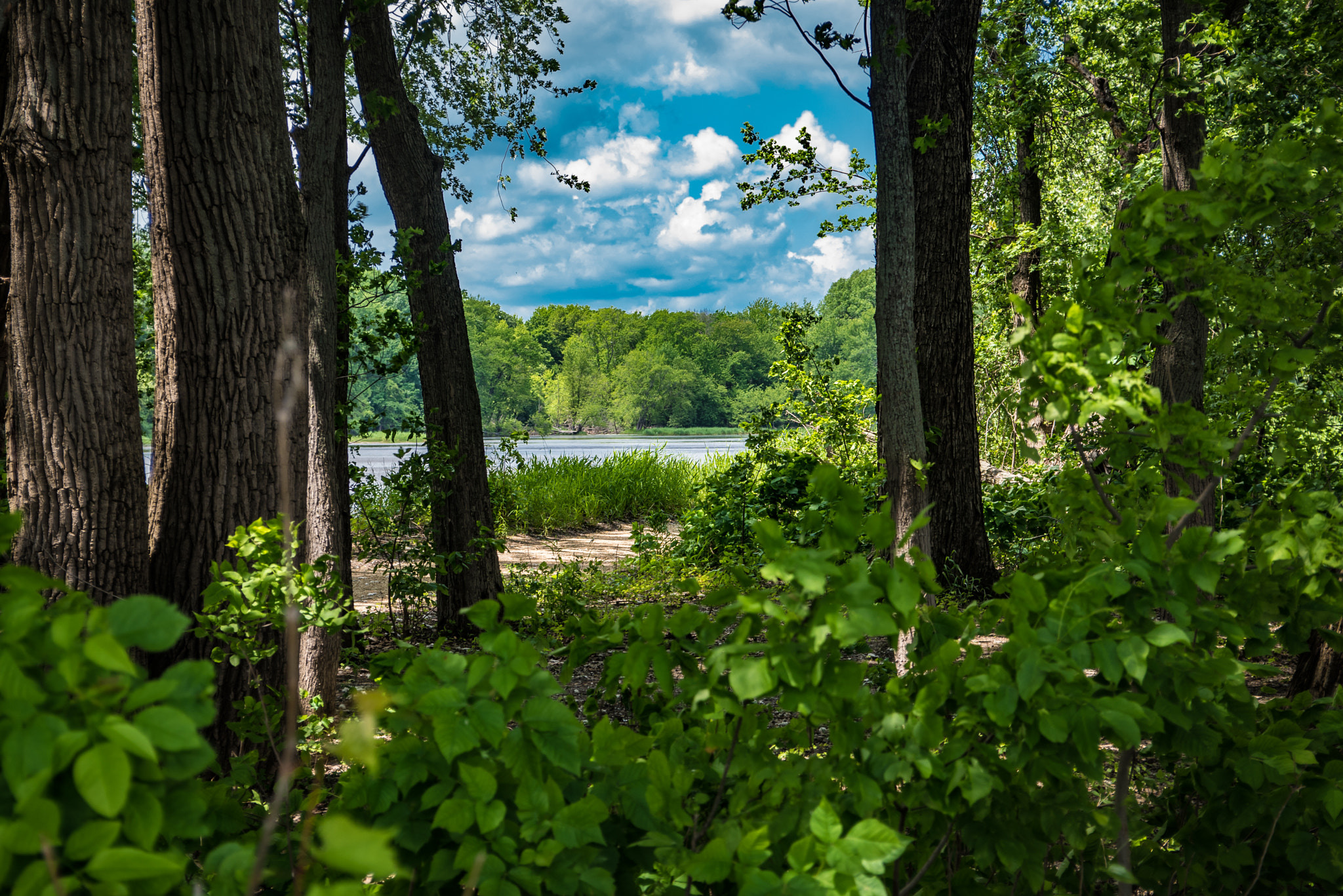 AF Zoom-Nikkor 28-85mm f/3.5-4.5 sample photo. From the banks of the mississippi photography