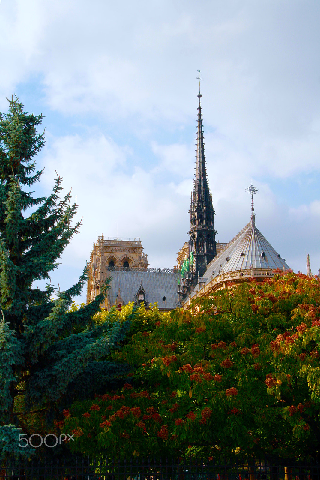 Canon EOS 1000D (EOS Digital Rebel XS / EOS Kiss F) sample photo. Notre-dame photography