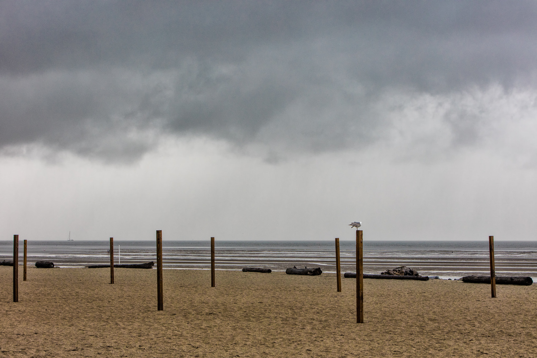 Canon EF 70-200mm F2.8L IS USM sample photo. Spanish banks storm photography