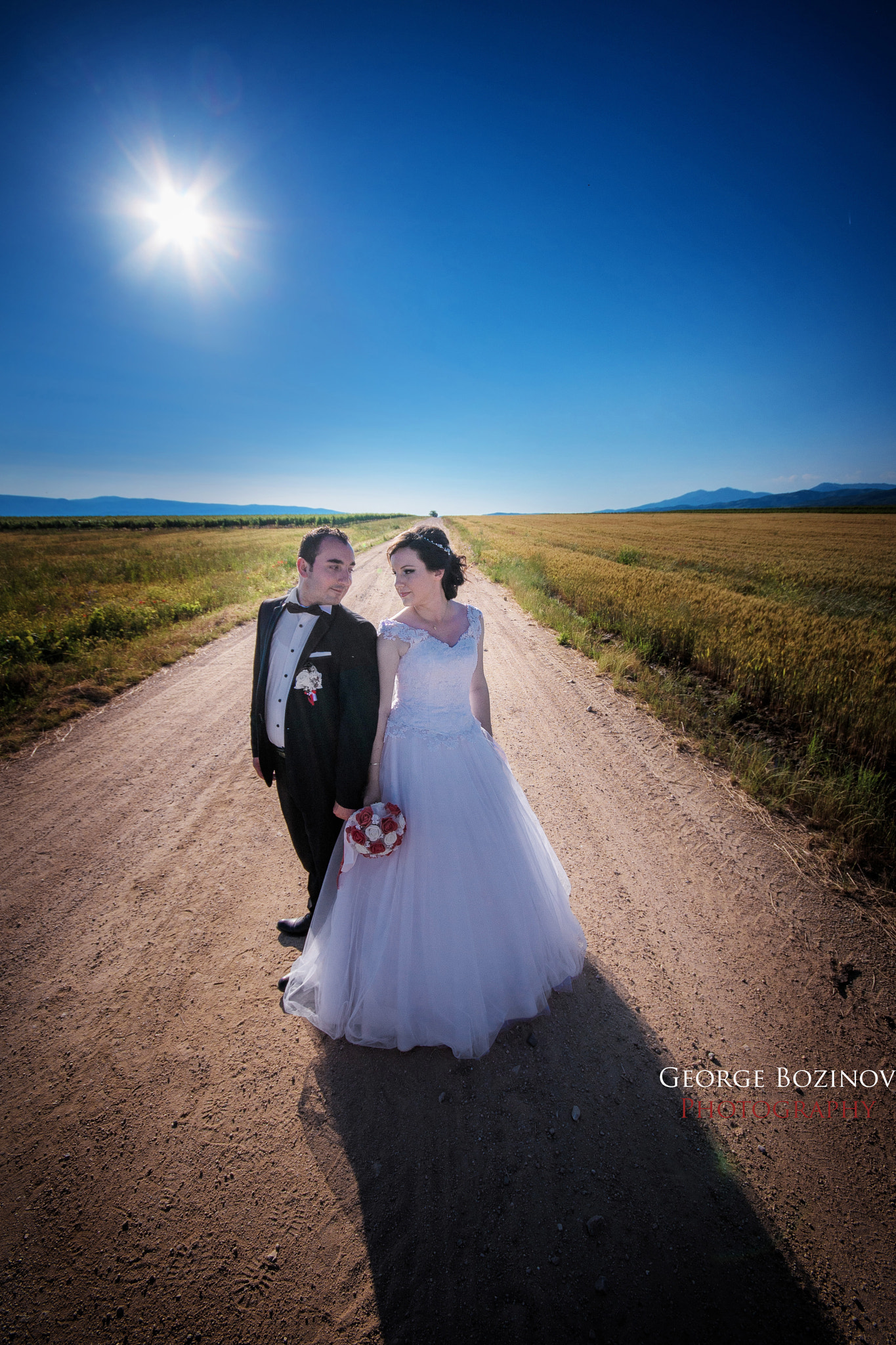 Sigma 10-20mm F4-5.6 EX DC HSM sample photo. The road to marriage photography