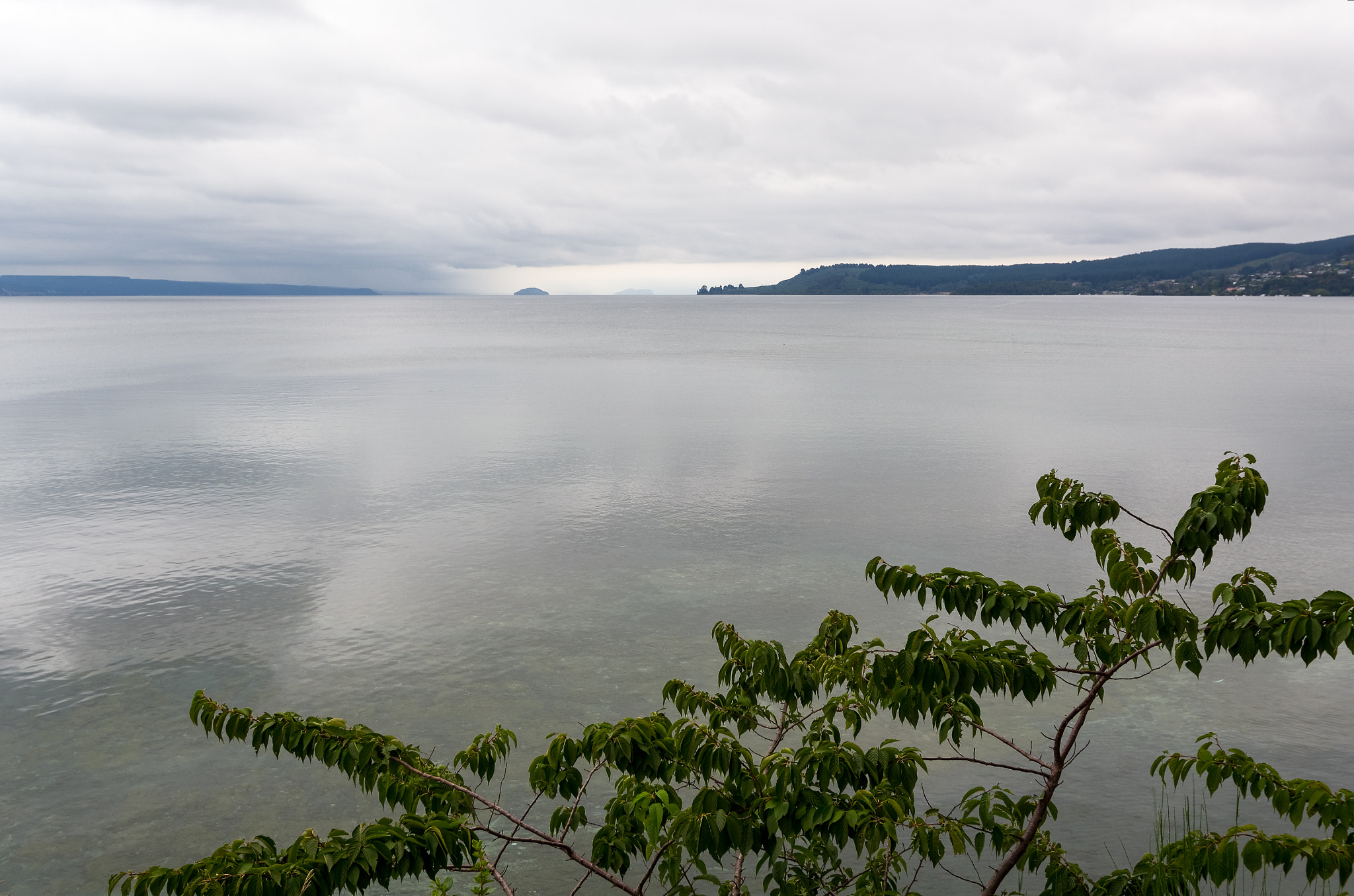 Pentax smc DA 12-24mm F4.0 ED AL (IF) sample photo. Taupo photography