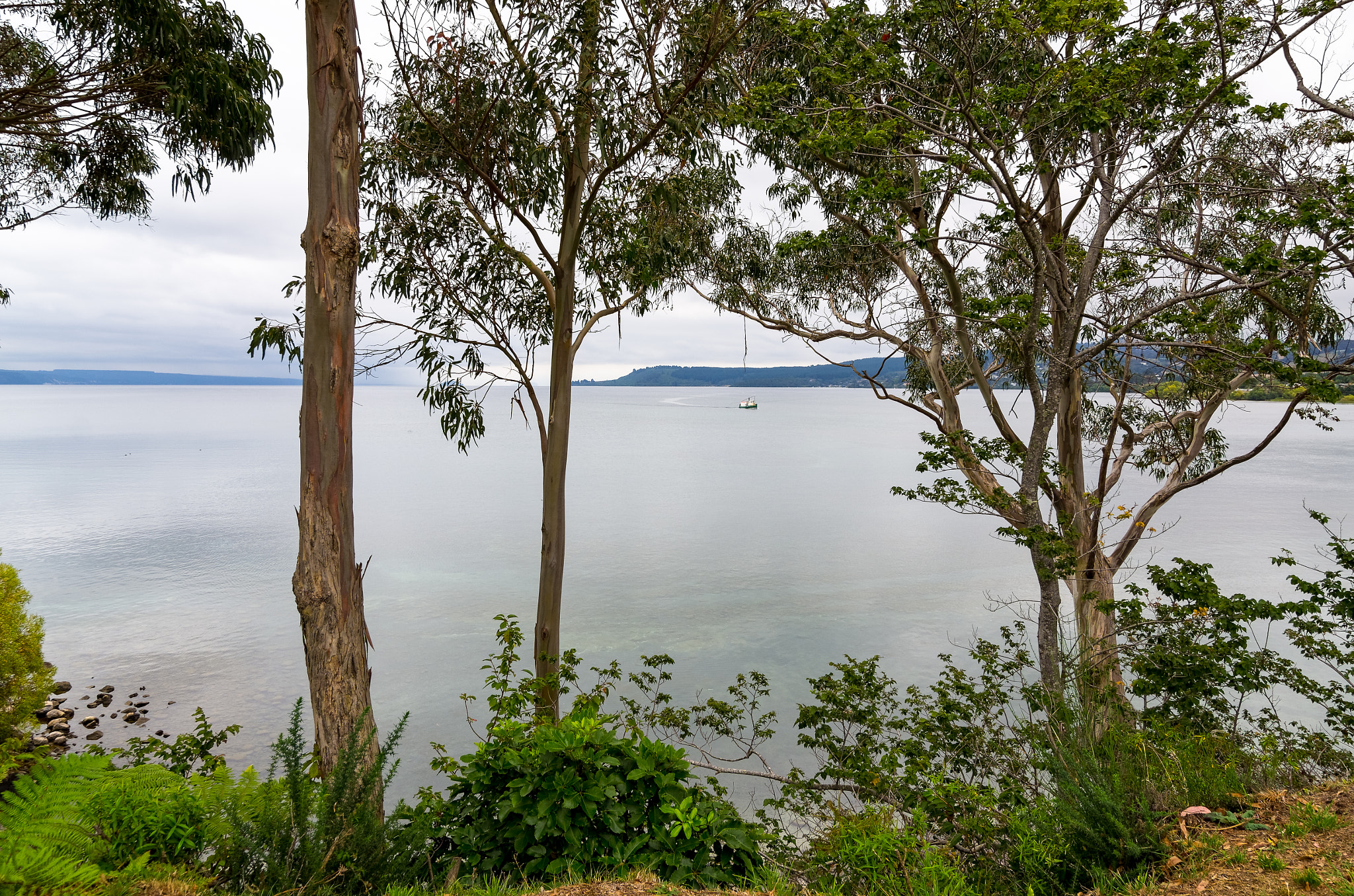Pentax smc DA 12-24mm F4.0 ED AL (IF) sample photo. Taupo photography