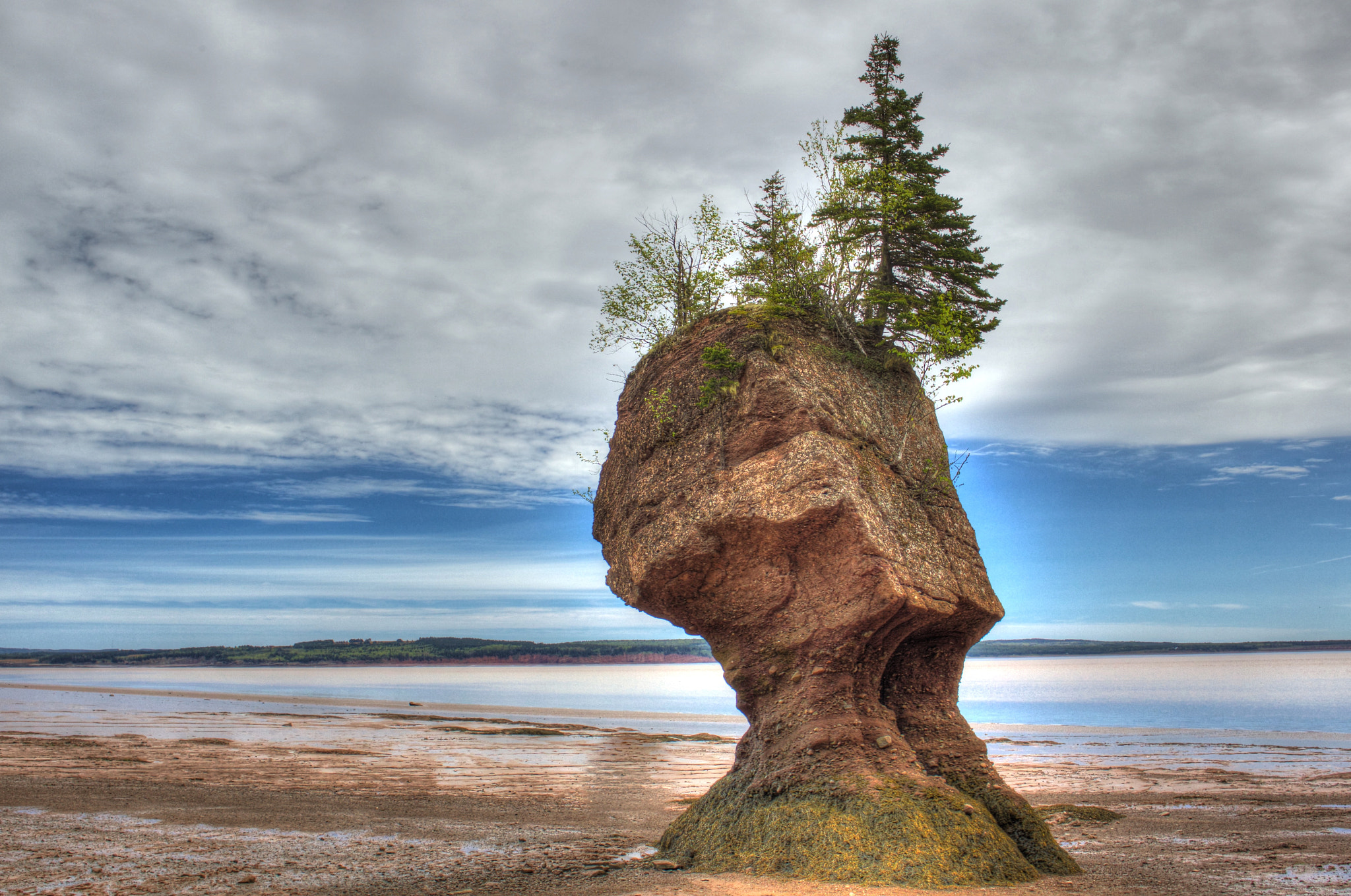 Canon EF 24mm F2.8 IS USM sample photo. Hopewell rocks flowerpot photography