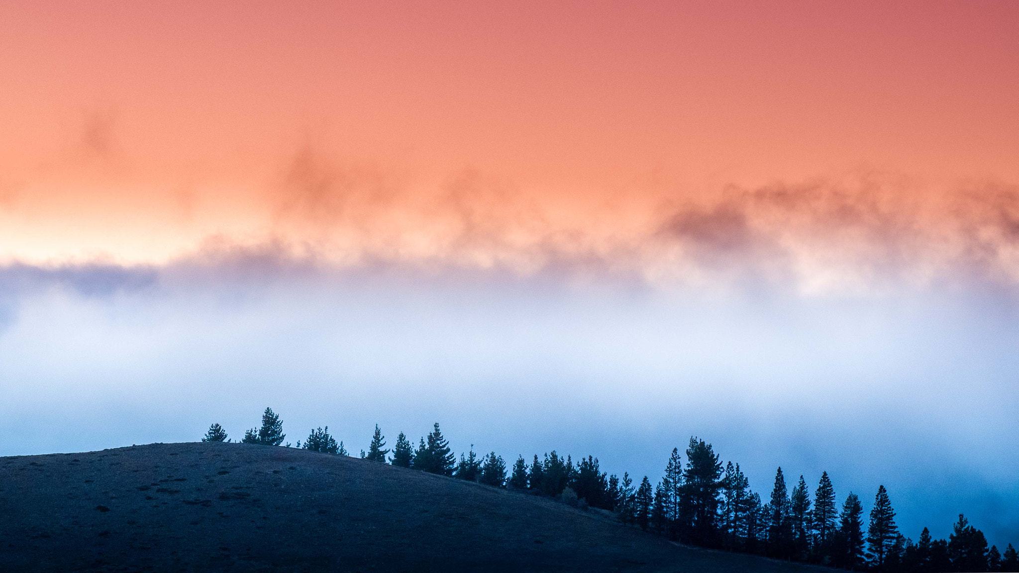 Tamron AF 70-300mm F4-5.6 Di LD Macro sample photo. No morning mist photography