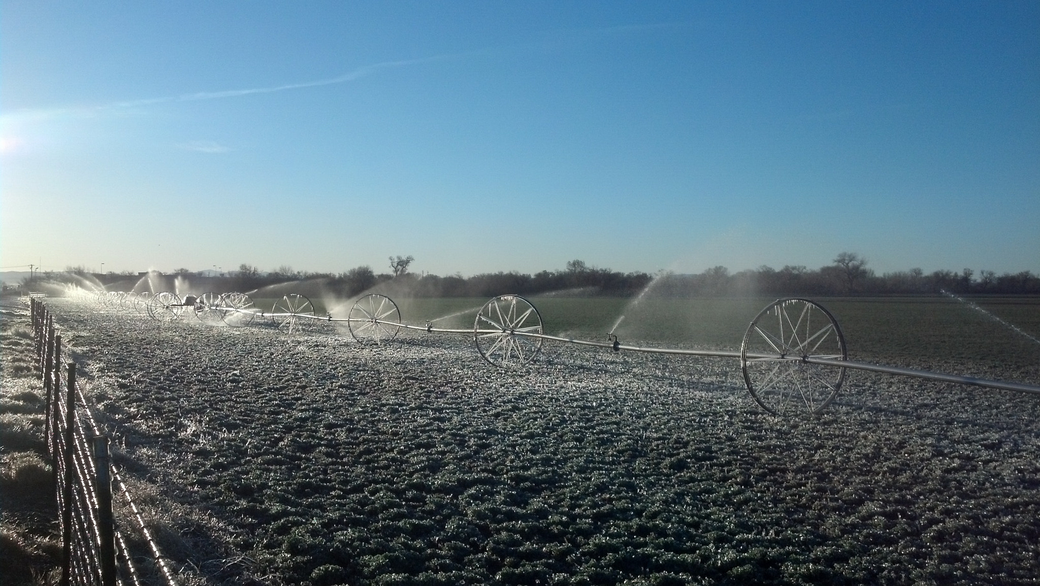 Motorola DROID RAZR sample photo. Left the sprinkler on photography