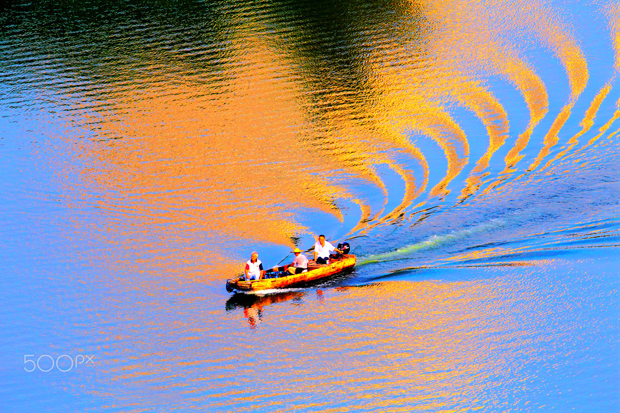 Canon EOS-1D Mark IV + Canon EF 200mm F2.8L II USM sample photo. Sail in morninglight photography