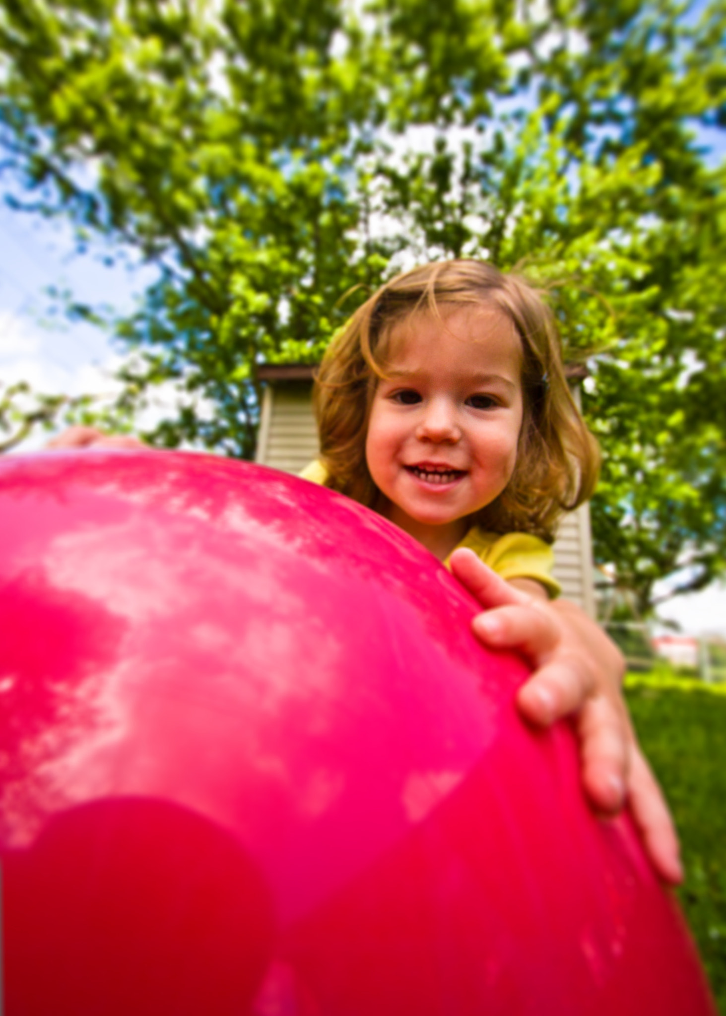 Canon EOS 450D (EOS Rebel XSi / EOS Kiss X2) sample photo. When the toy is larger than you... photography