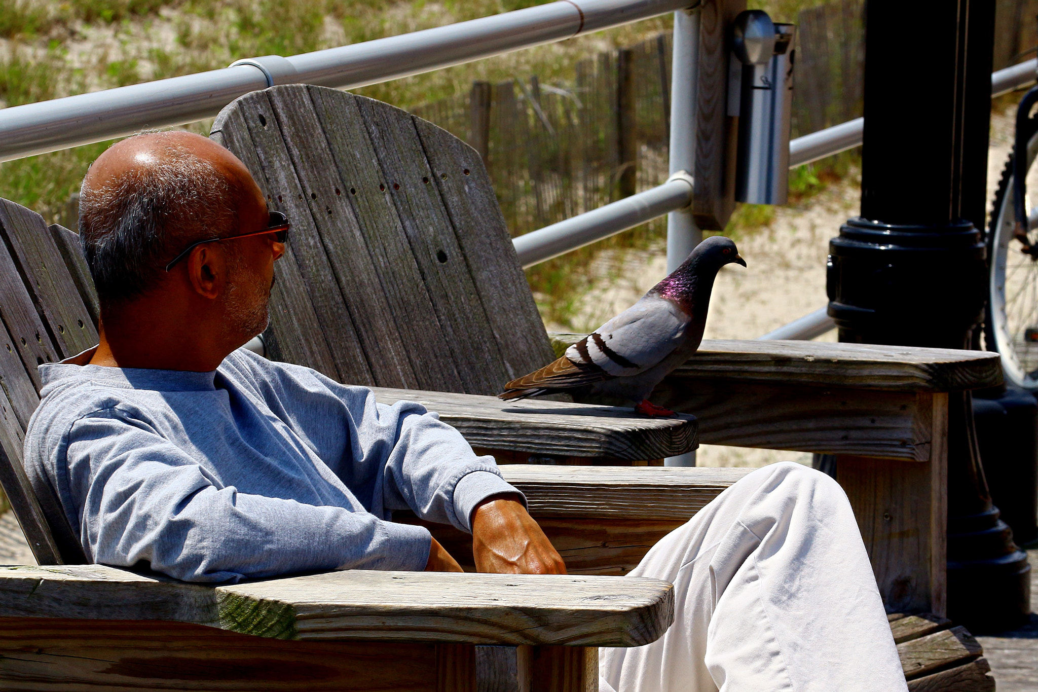 Canon EOS 650D (EOS Rebel T4i / EOS Kiss X6i) sample photo. Friend of feather photography