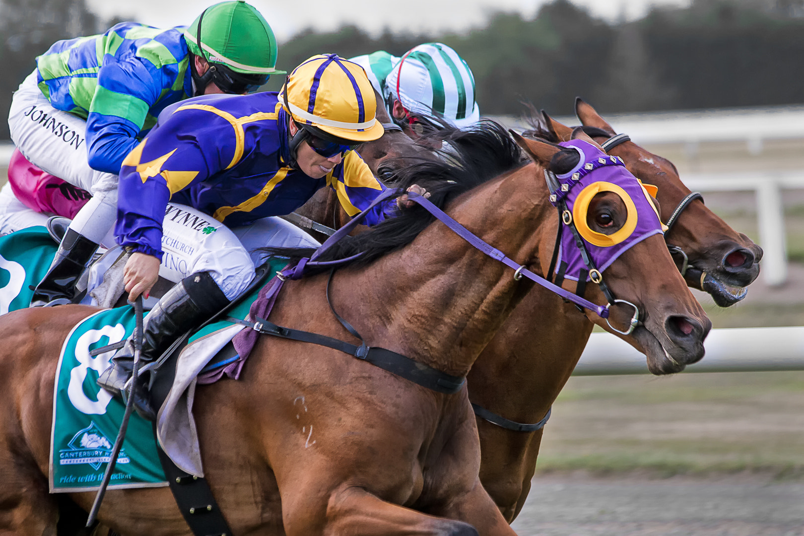 Canon EOS 30D sample photo. Horse racing photography