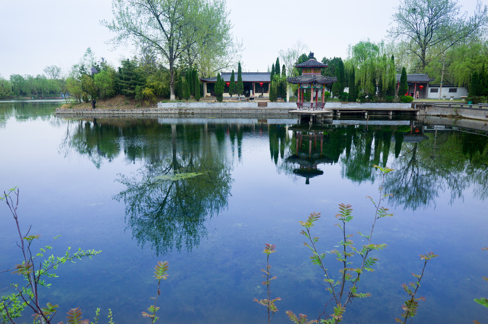 Sony Alpha NEX-5N + Sony E 16mm F2.8 sample photo. 近水楼台 photography