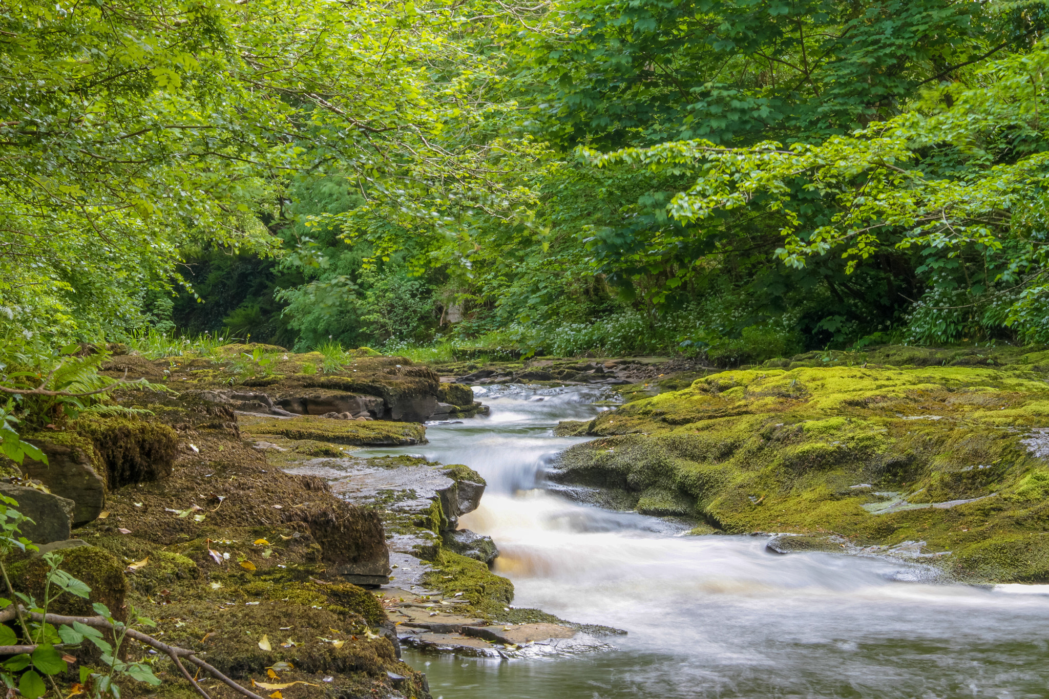 Canon EF-S 18-135mm F3.5-5.6 IS sample photo. Just out doing a message when i come across this brilliant spot. photography