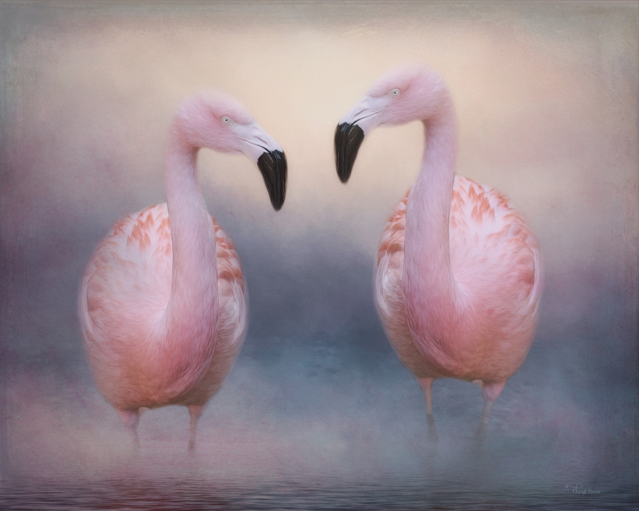 Canon EF 100-400mm F4.5-5.6L IS II USM sample photo. Two flamingos photography