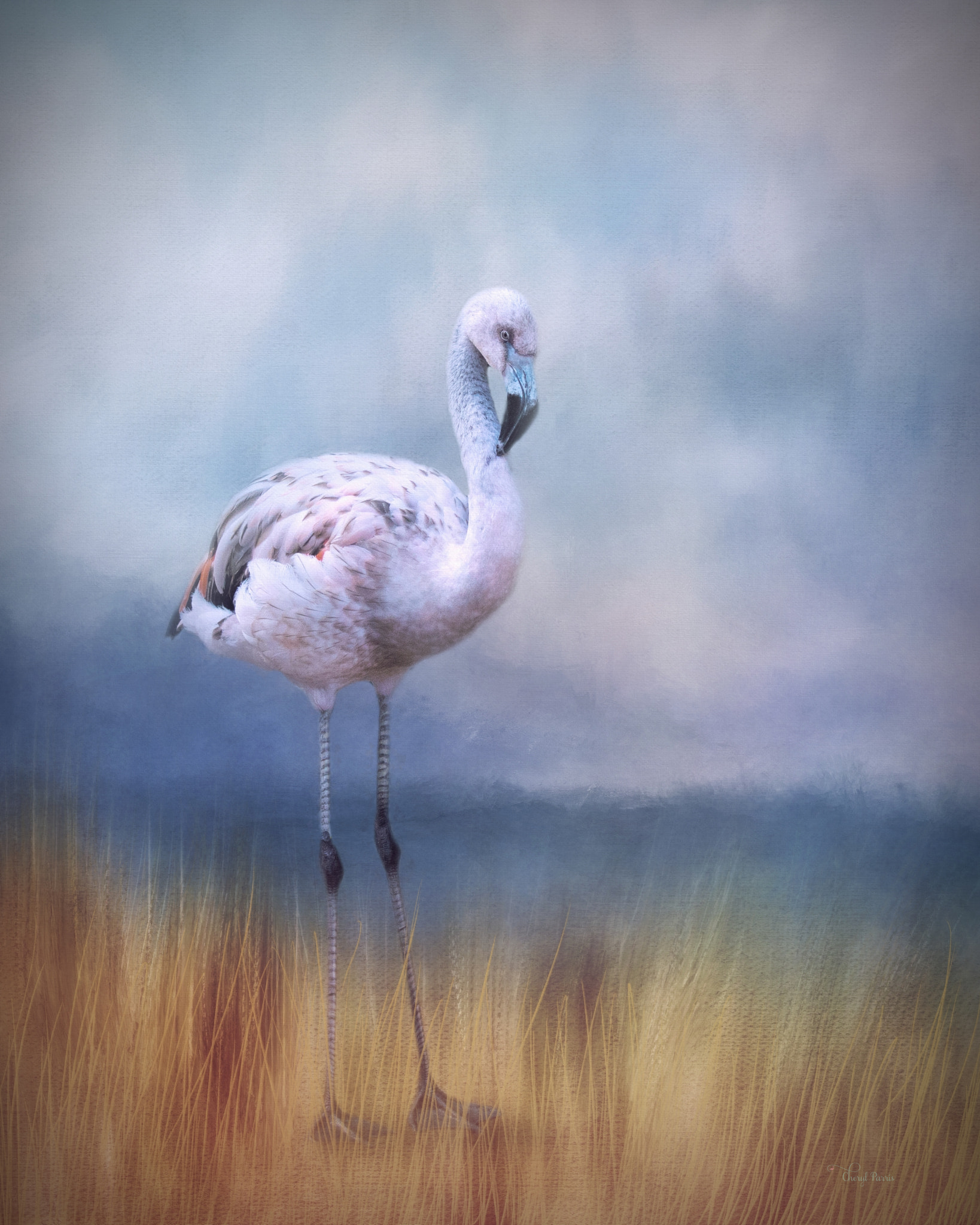 Canon EOS 70D + Canon EF 100-400mm F4.5-5.6L IS II USM sample photo. Juvenile pink flamingo photography