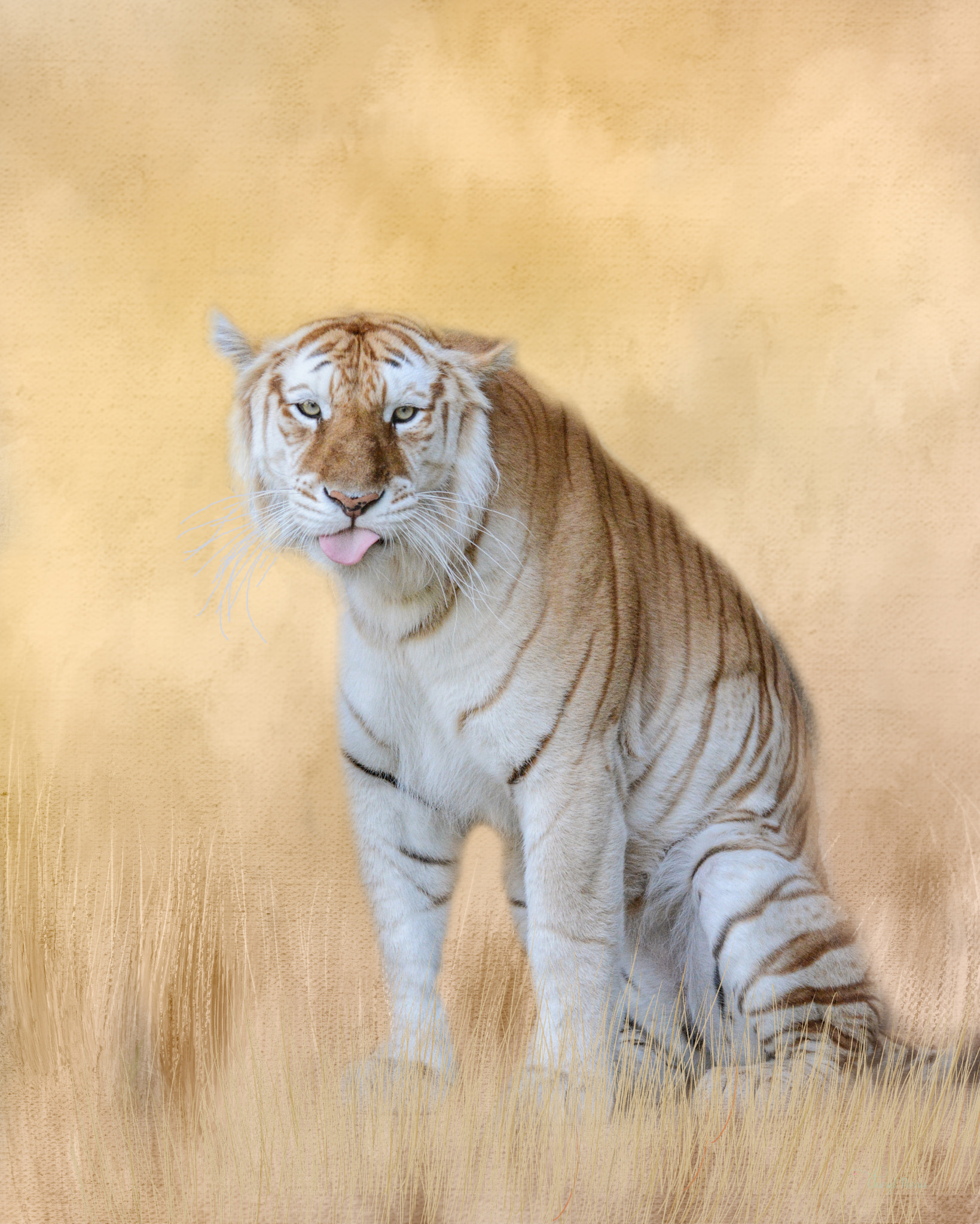 Canon EF 100-400mm F4.5-5.6L IS II USM sample photo. Tiger in the grass photography
