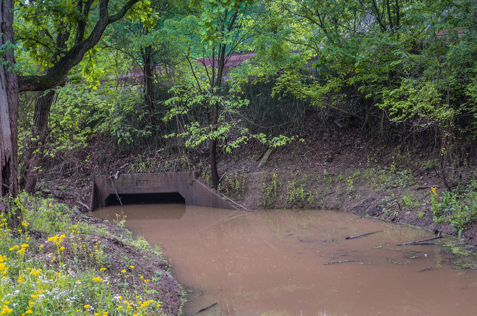 Sigma 17-70mm F2.8-4 DC Macro HSM | C sample photo. Old culvert photography