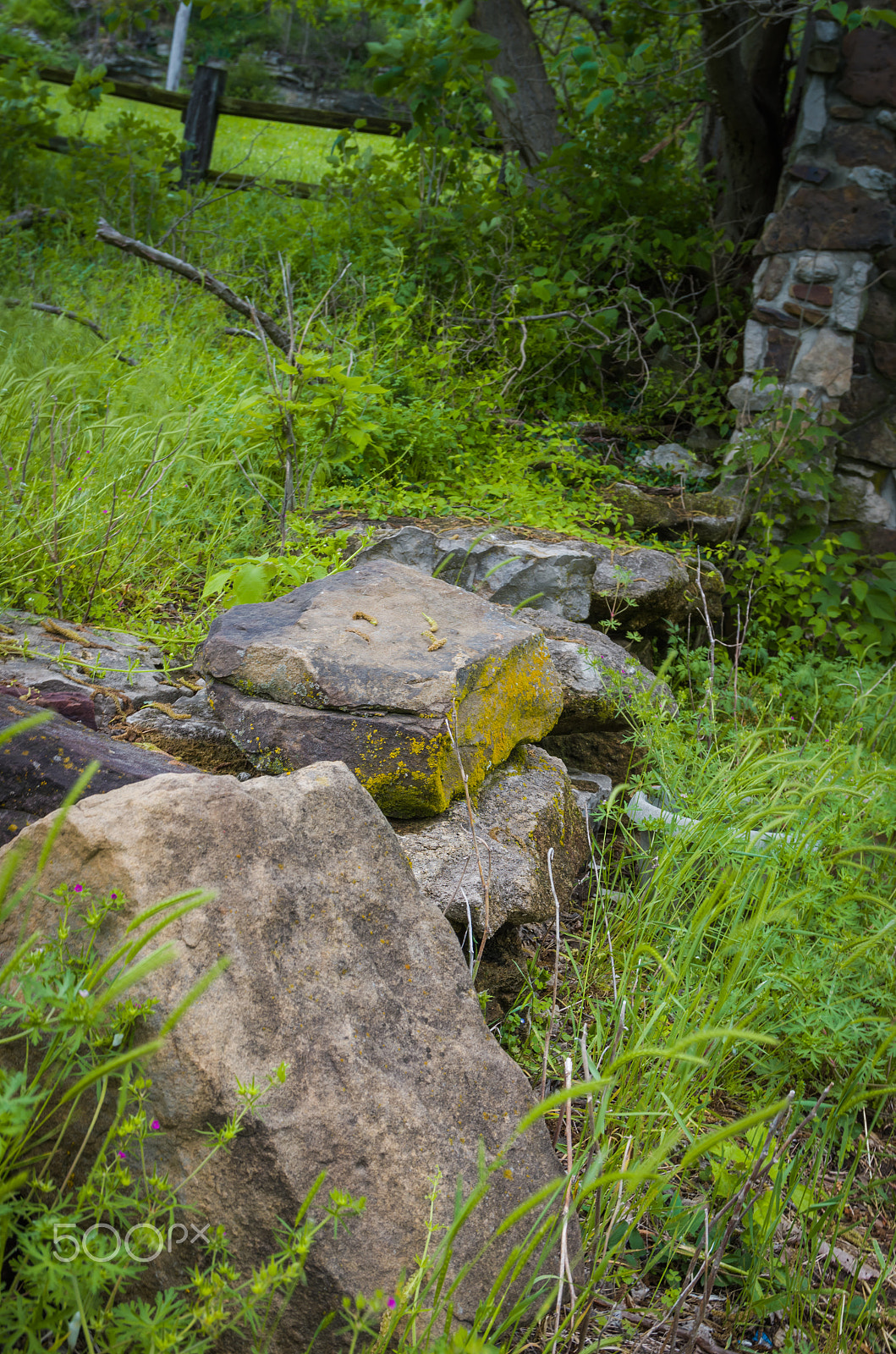 Sigma 17-70mm F2.8-4 DC Macro HSM | C sample photo. Rock wall photography